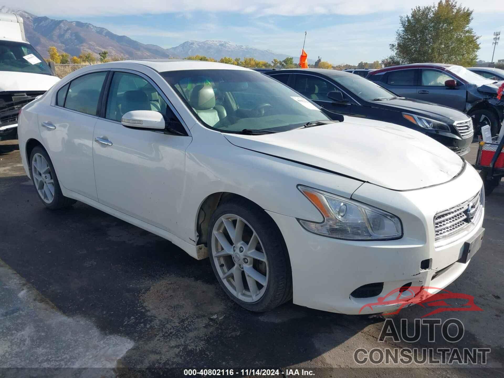 NISSAN MAXIMA 2009 - 1N4AA51E69C802448