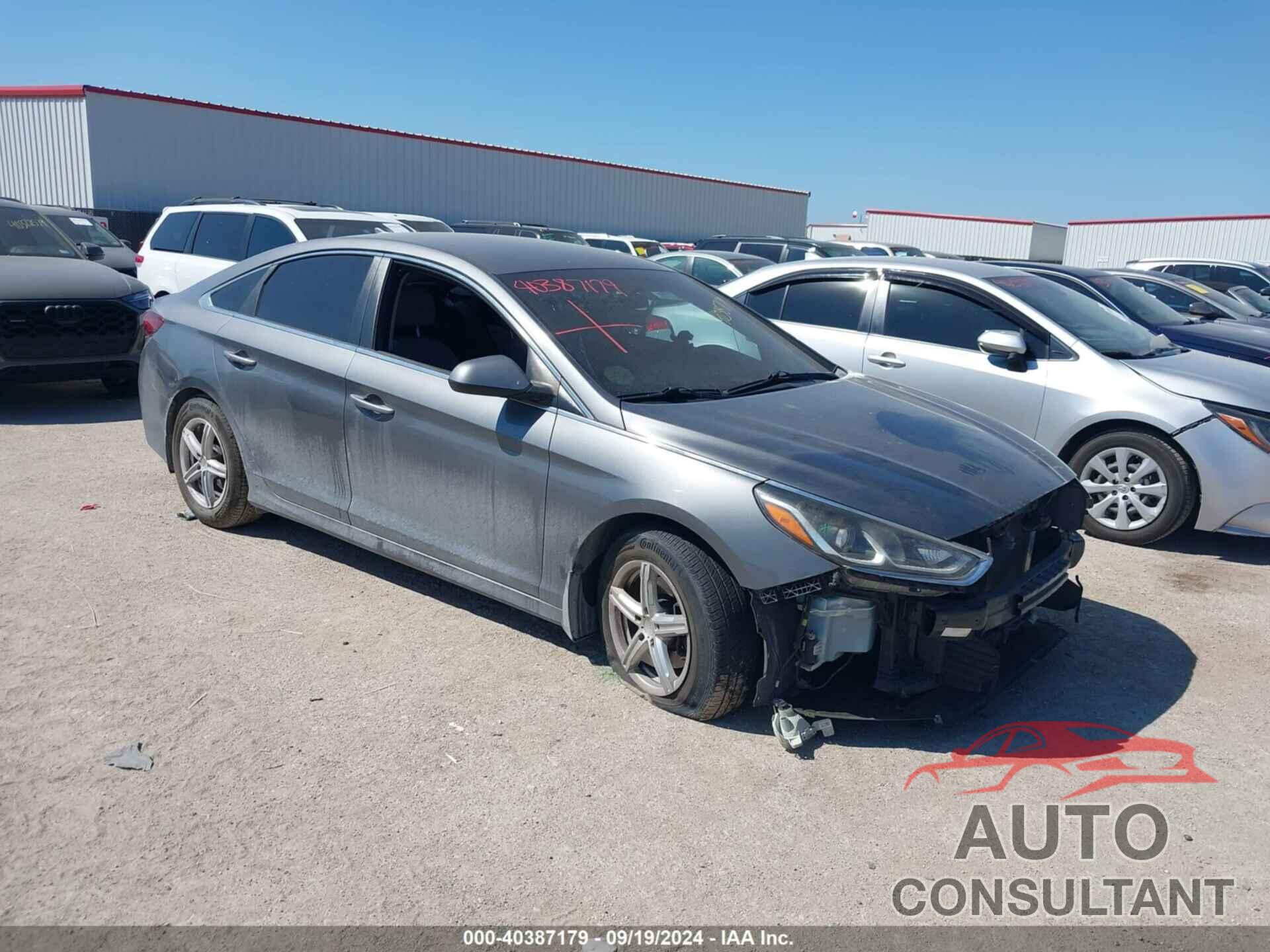 HYUNDAI SONATA 2019 - 5NPE24AF5KH798768