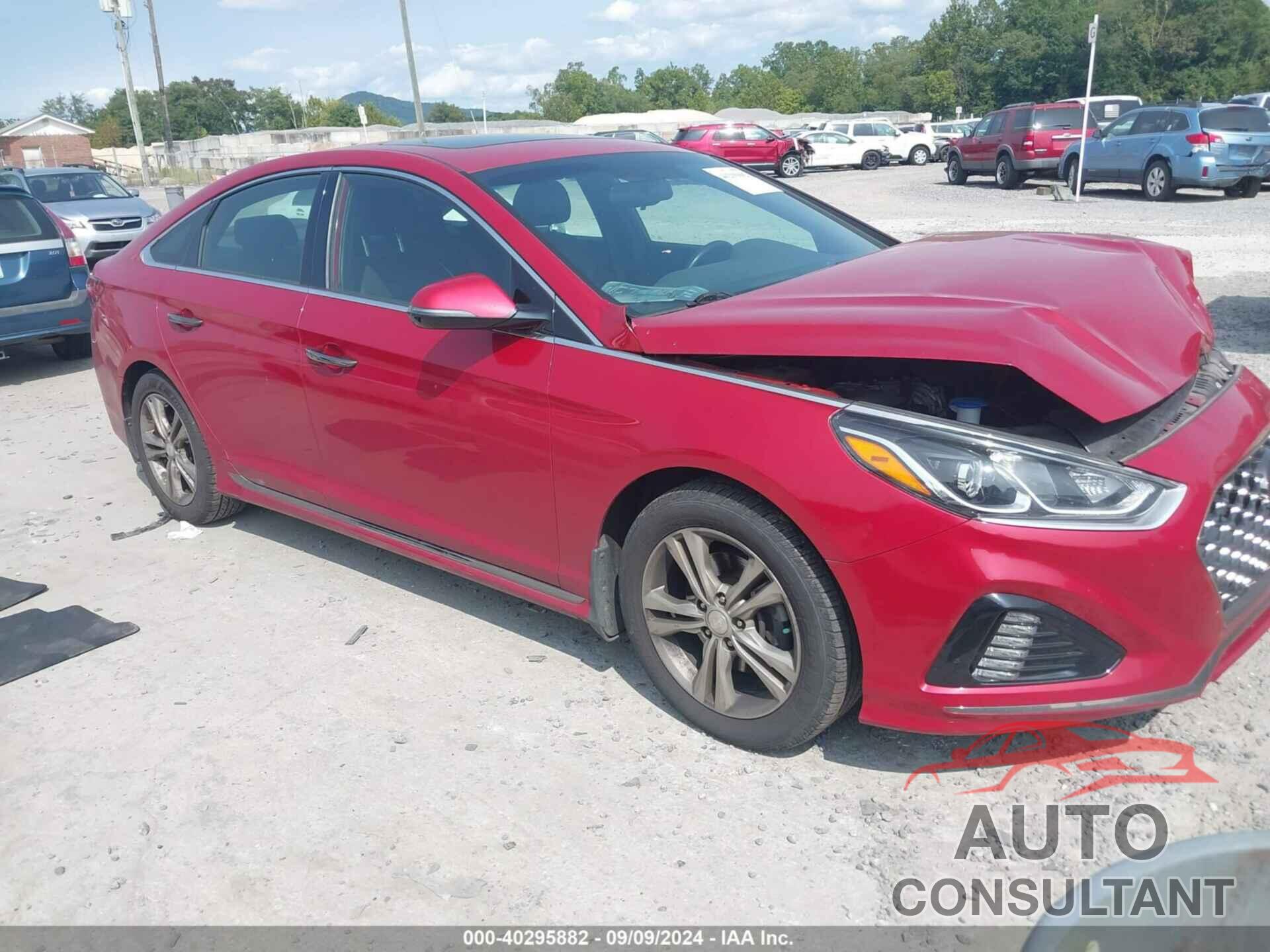 HYUNDAI SONATA 2019 - 5NPE34AF0KH738863