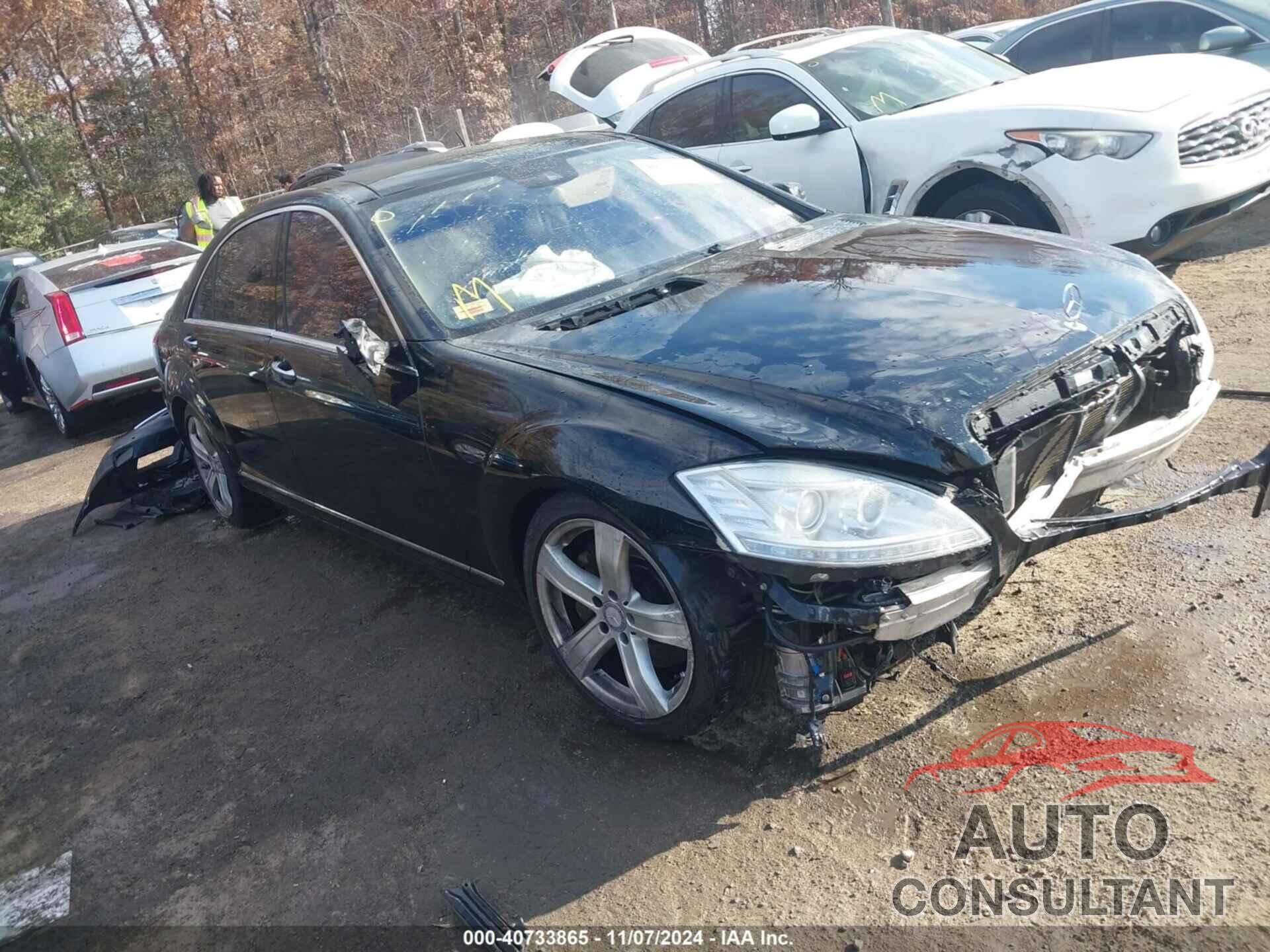 MERCEDES-BENZ S 550 2010 - WDDNG8GB8AA329277