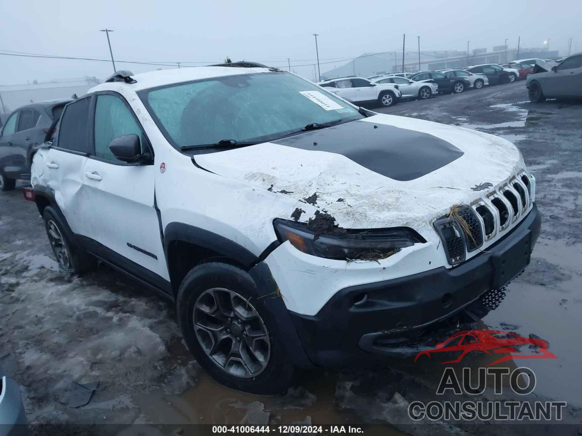 JEEP CHEROKEE 2021 - 1C4PJMBX5MD140170