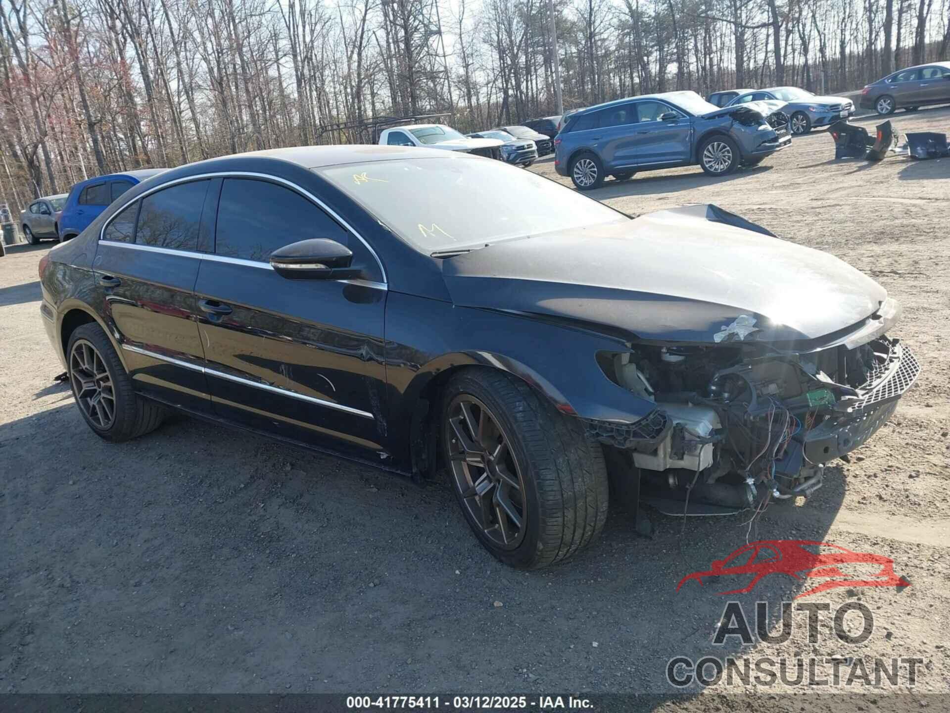 VOLKSWAGEN CC 2013 - WVWBN7ANXDE546584