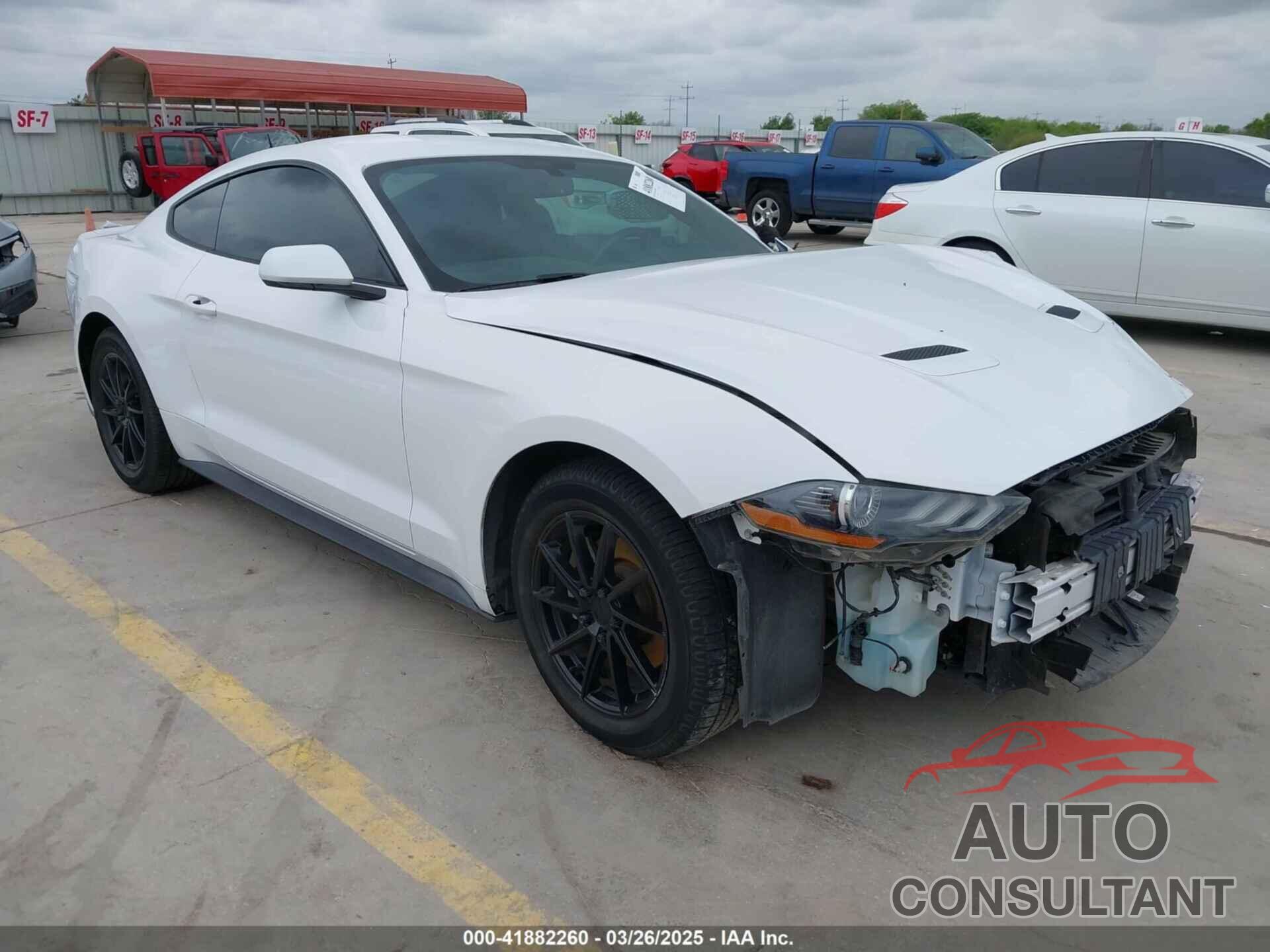 FORD MUSTANG 2019 - 1FA6P8TH2K5192524