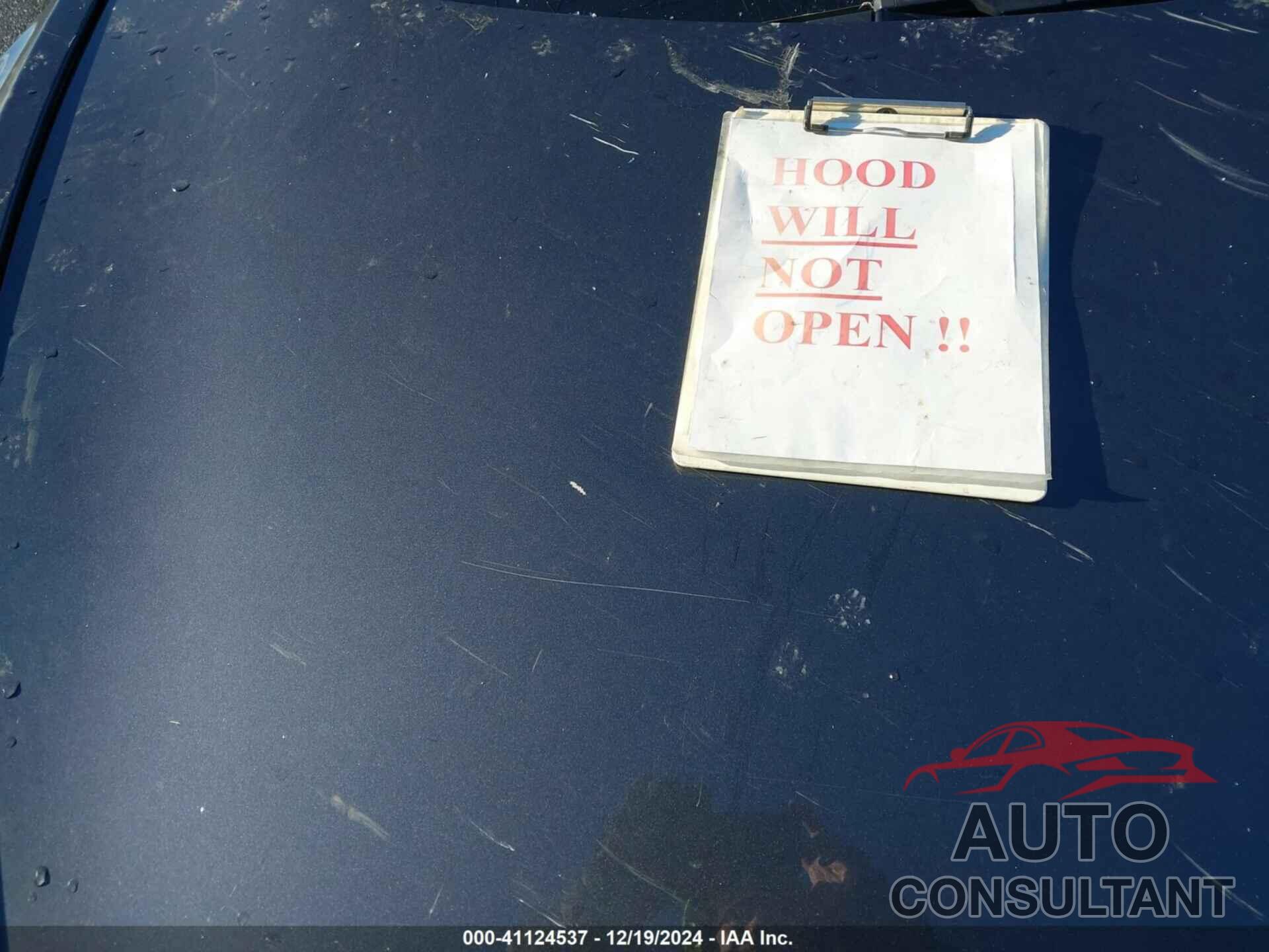 TESLA MODEL 3 2021 - 5YJ3E1EA5MF977051