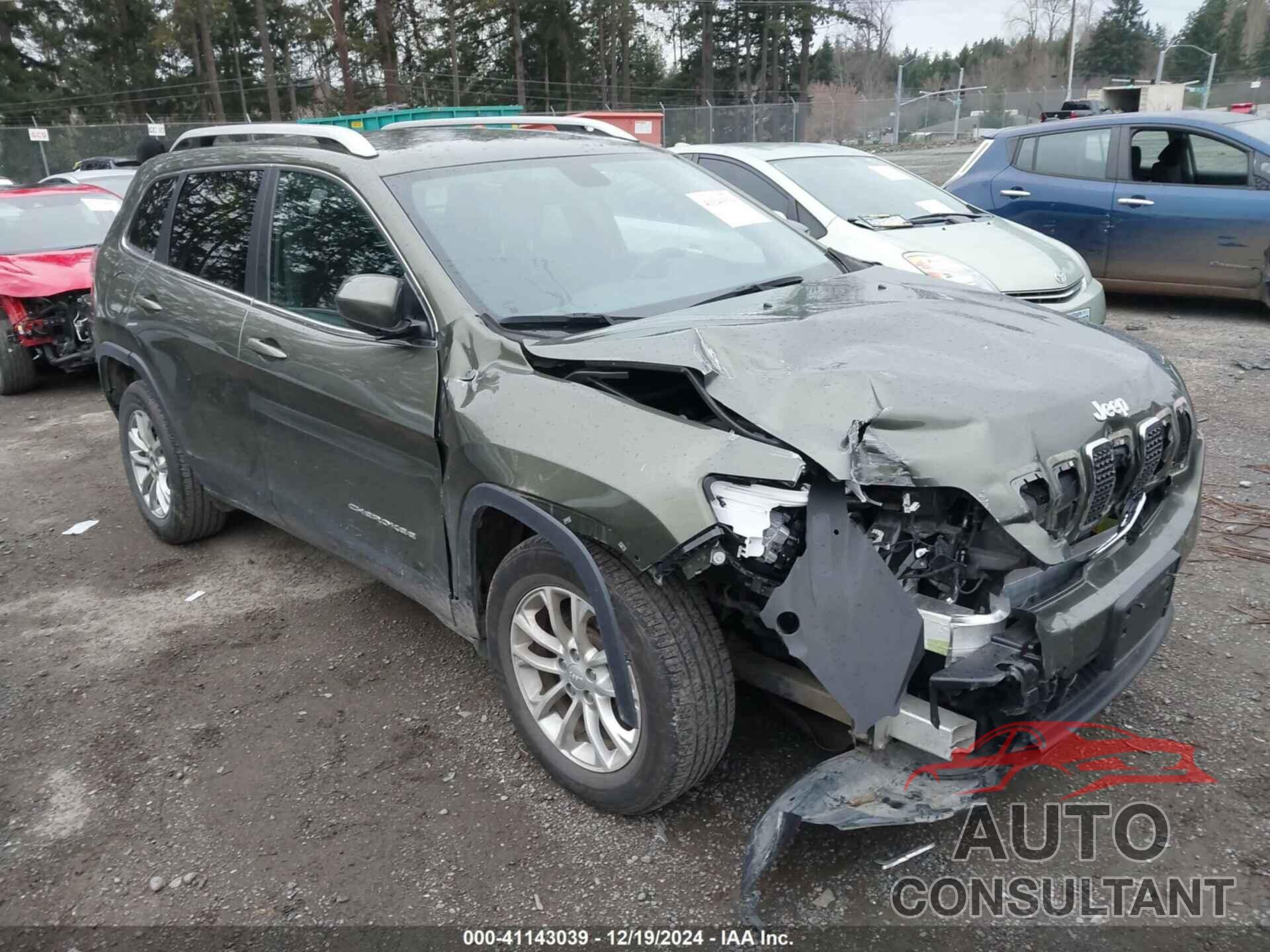 JEEP CHEROKEE 2019 - 1C4PJLCB4KD381986