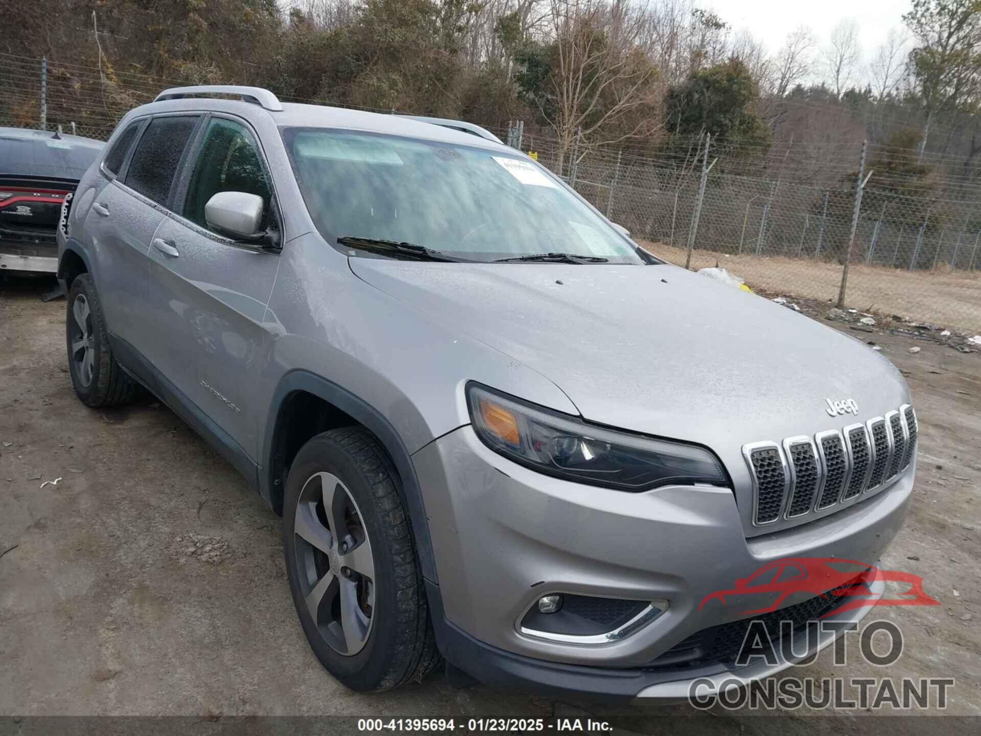 JEEP CHEROKEE 2019 - 1C4PJMDX3KD423614