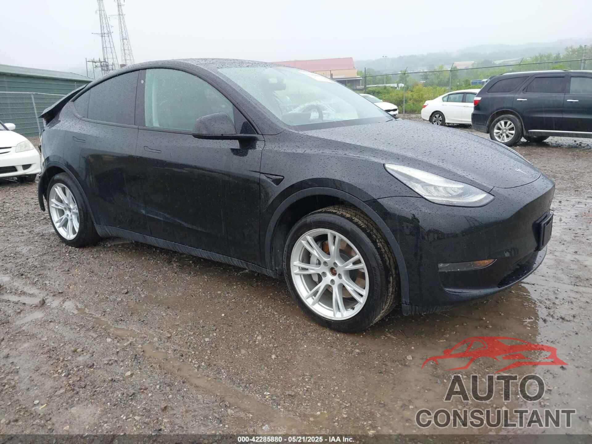 TESLA MODEL Y 2020 - 5YJYGDEE1LF012481