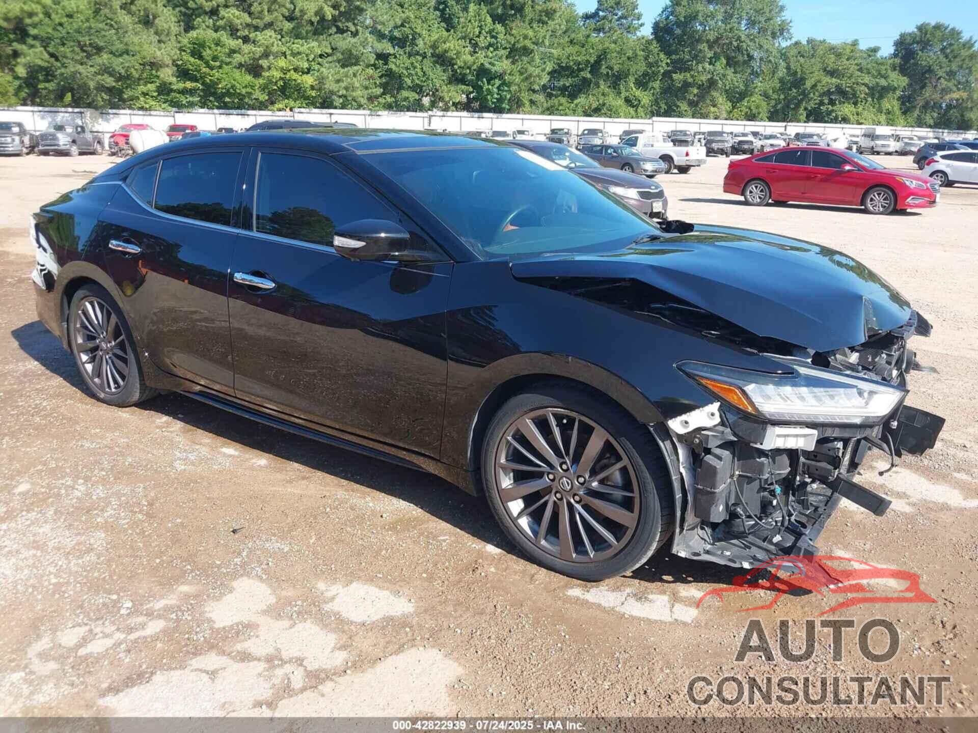 NISSAN MAXIMA 2019 - 1N4AA6AV2KC369450