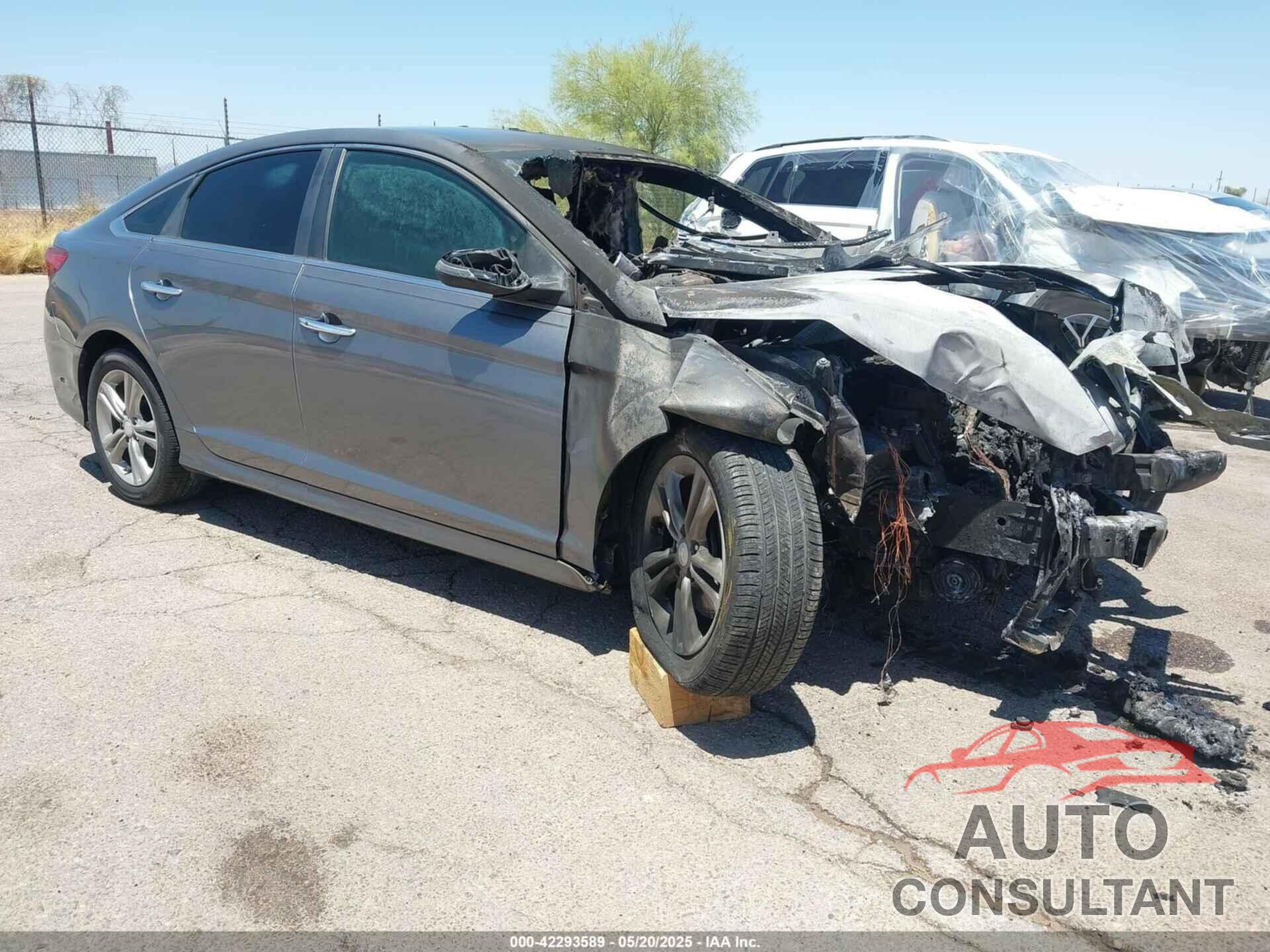 HYUNDAI SONATA 2019 - 5NPE34AF5KH740284