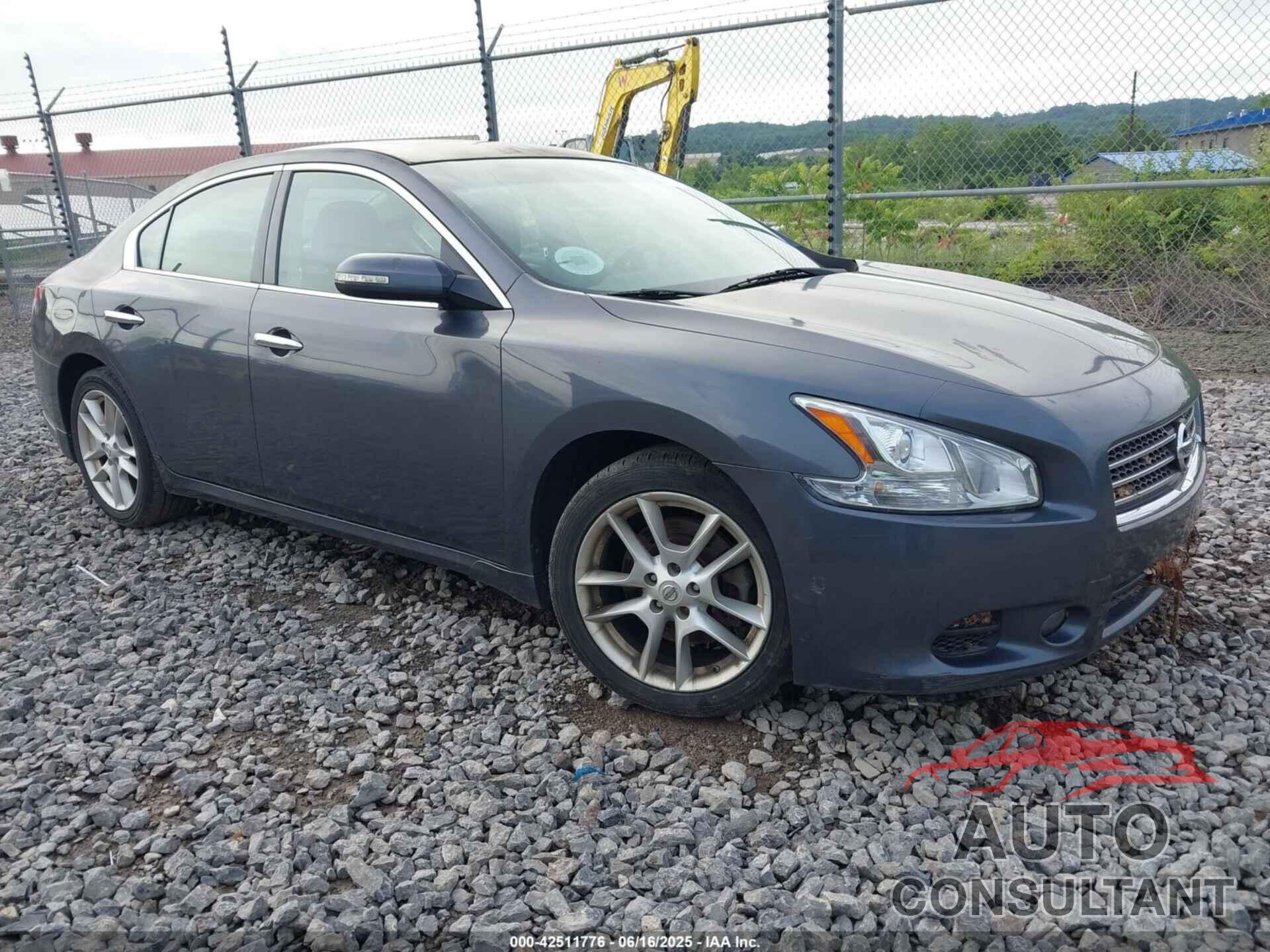NISSAN MAXIMA 2009 - 1N4AA51E39C854135