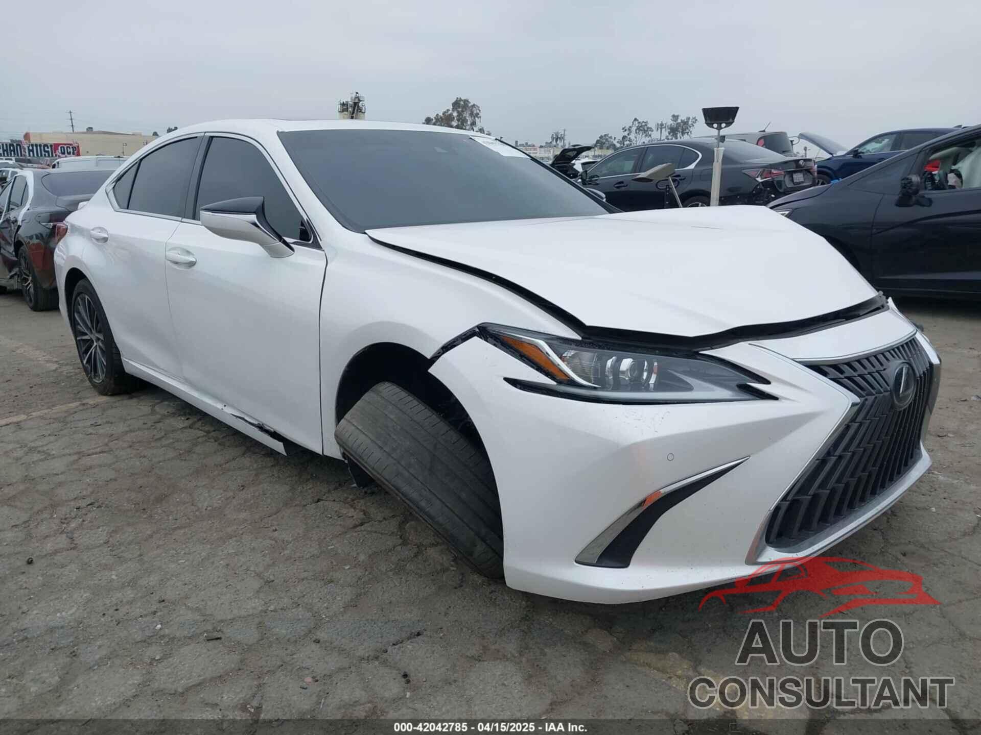 LEXUS ES 300H 2024 - 58ADA1C13RU041919