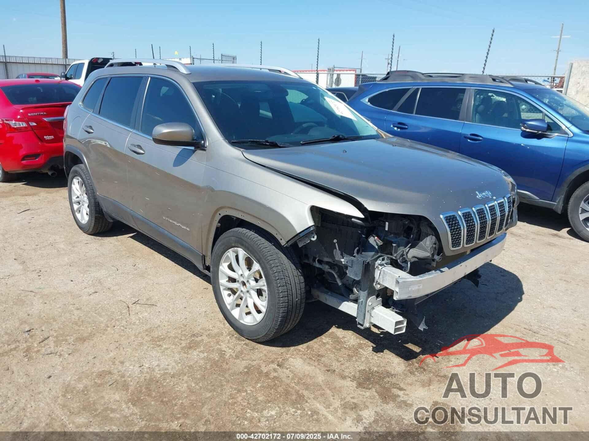 JEEP CHEROKEE 2019 - 1C4PJLCB2KD486588