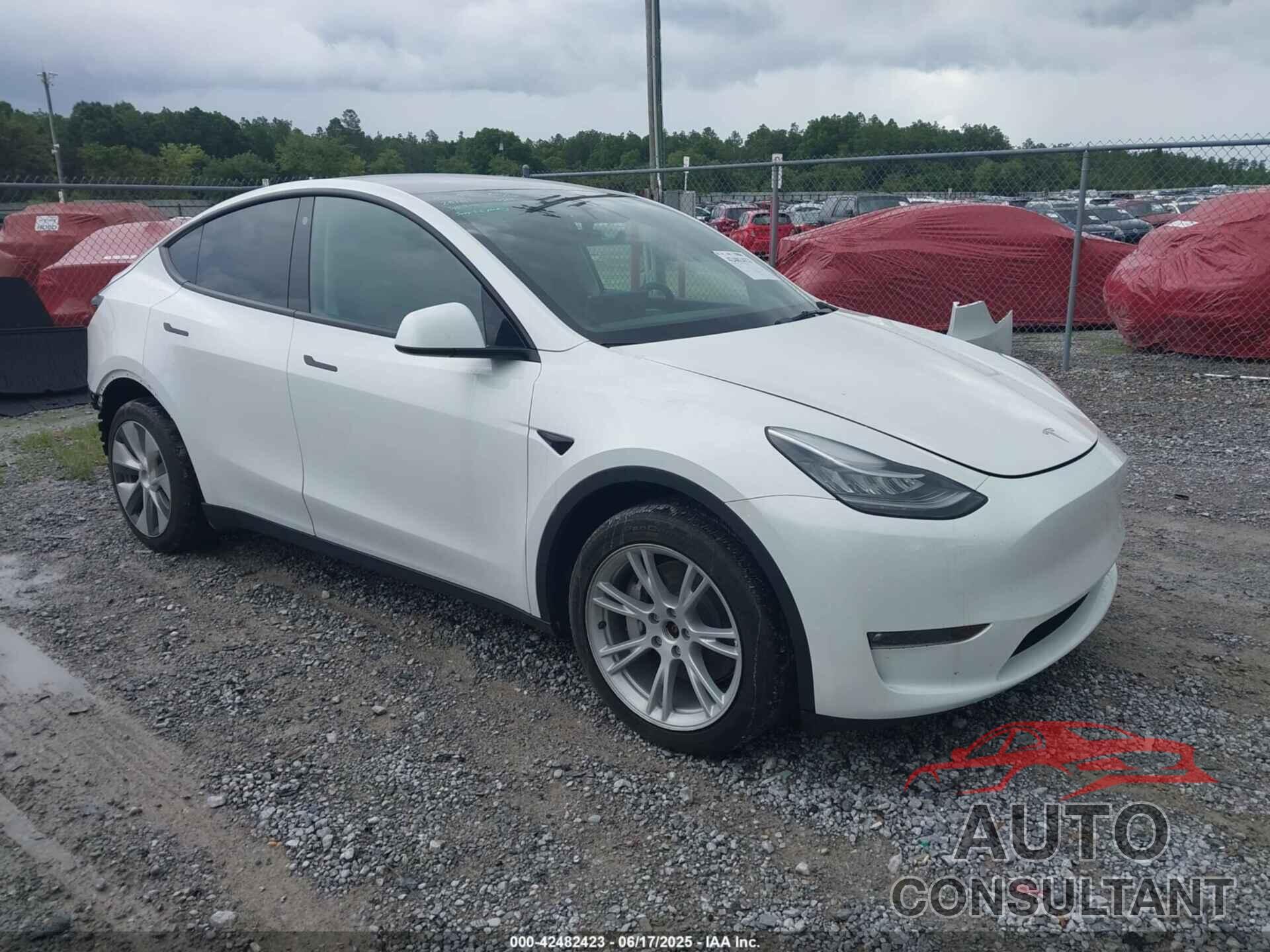 TESLA MODEL Y 2023 - 7SAYGDEE1PF610661