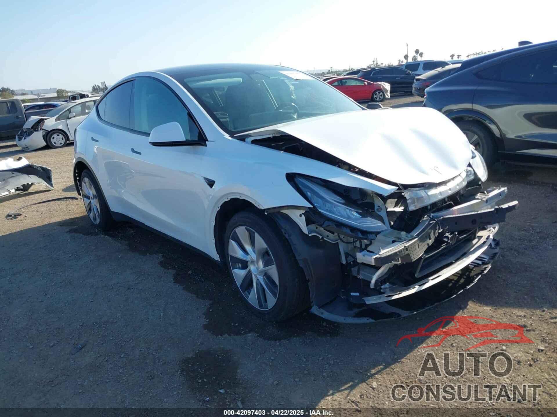 TESLA MODEL Y 2021 - 5YJYGDEE6MF094788