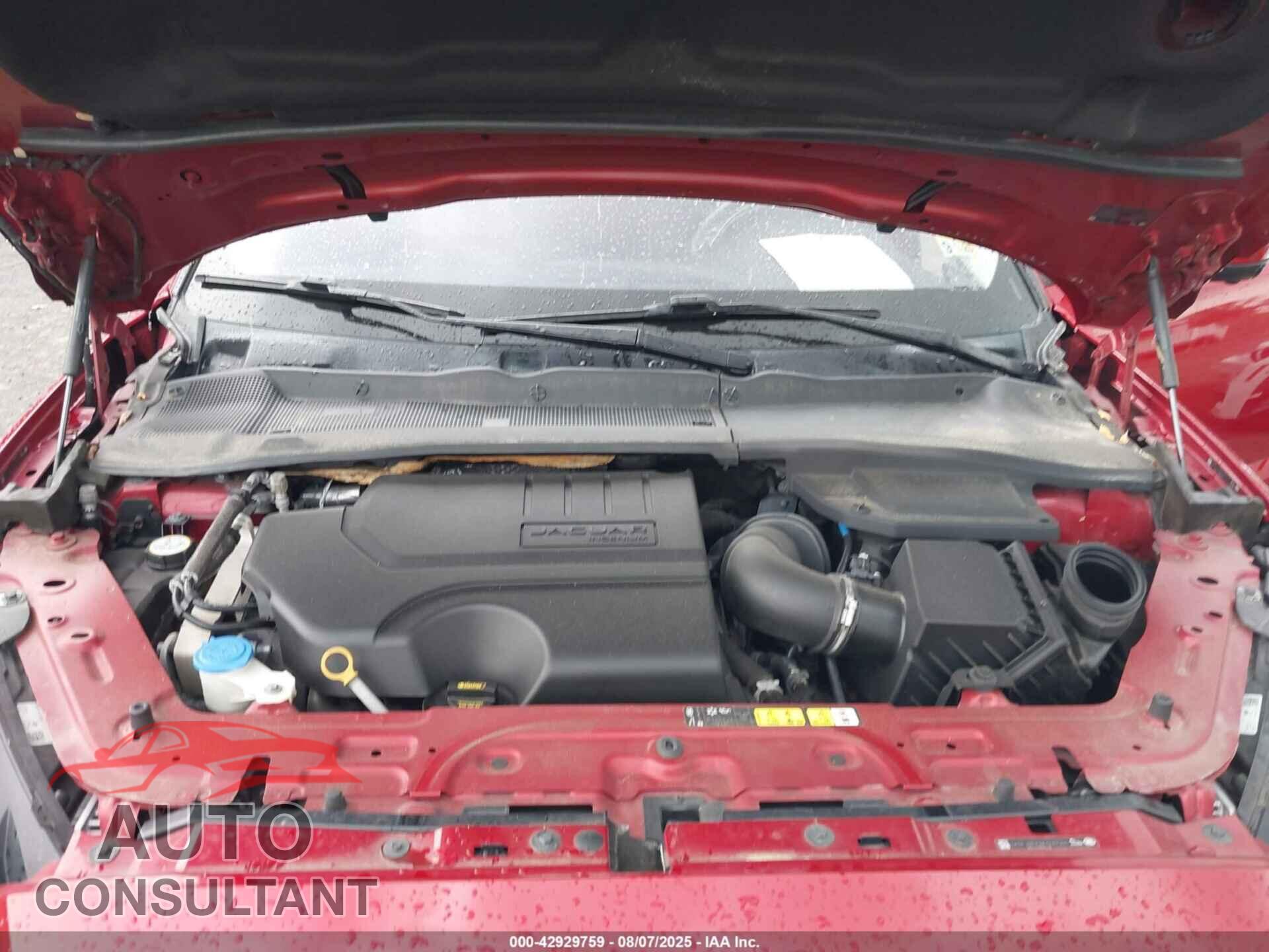 JAGUAR E-PACE 2019 - SADFJ2FX2K1Z47341