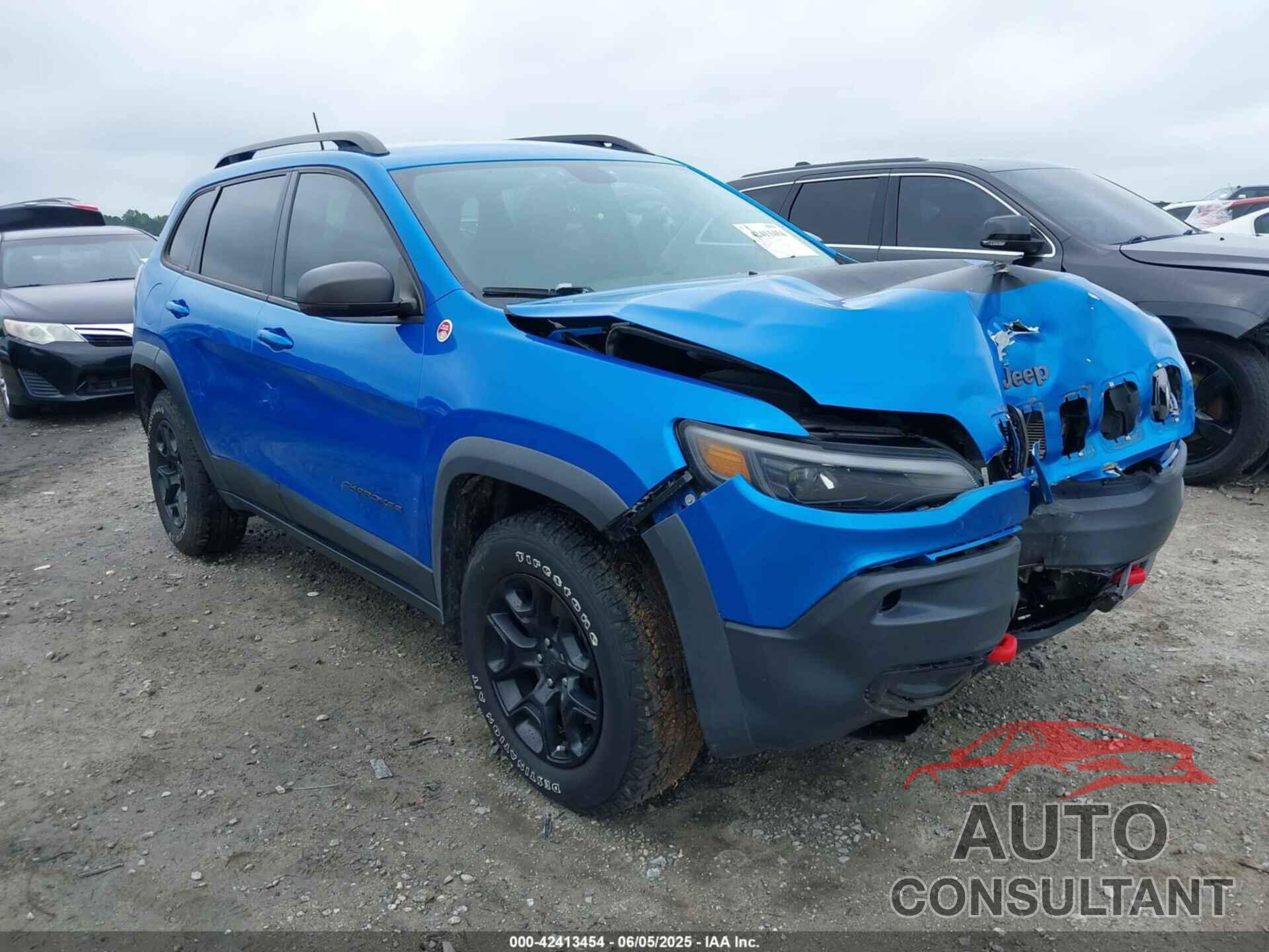 JEEP CHEROKEE 2019 - 1C4PJMBX0KD141577