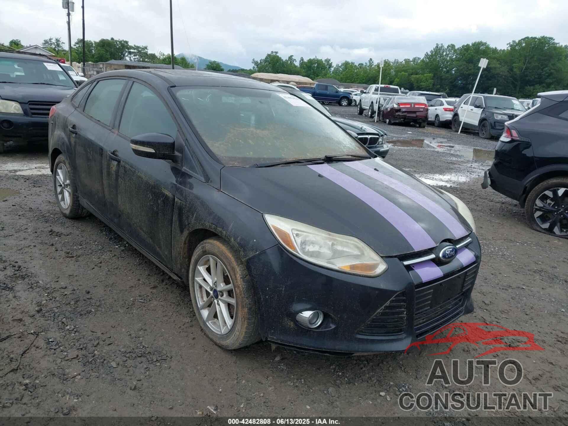 FORD FOCUS 2012 - 1FAHP3F21CL460902