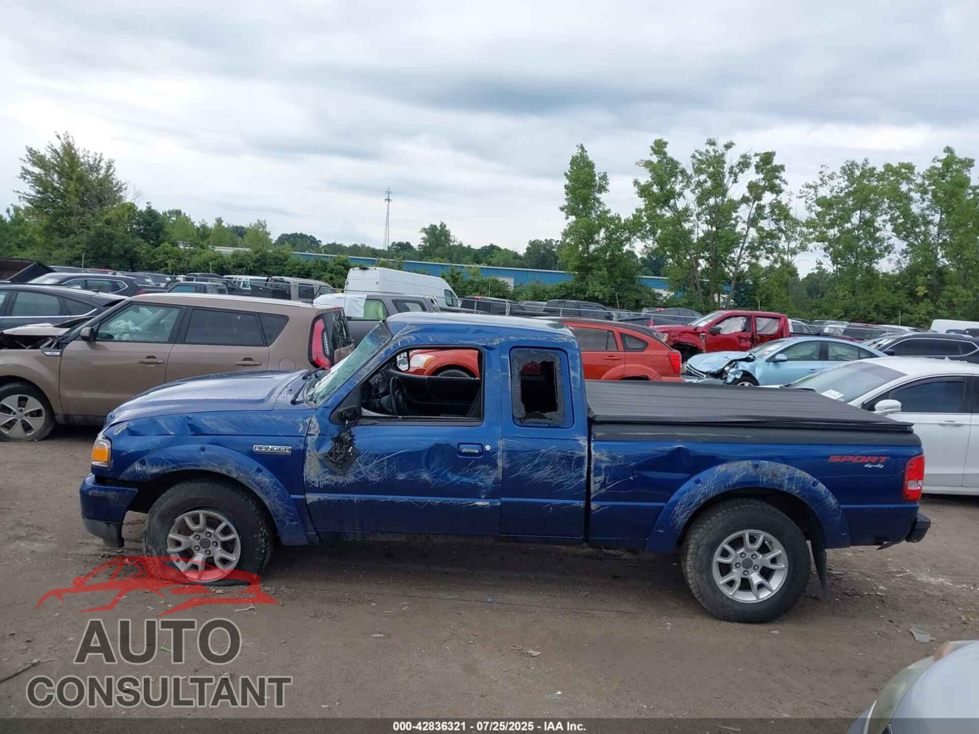 FORD RANGER 2011 - 1FTLR4FE7BPB09093