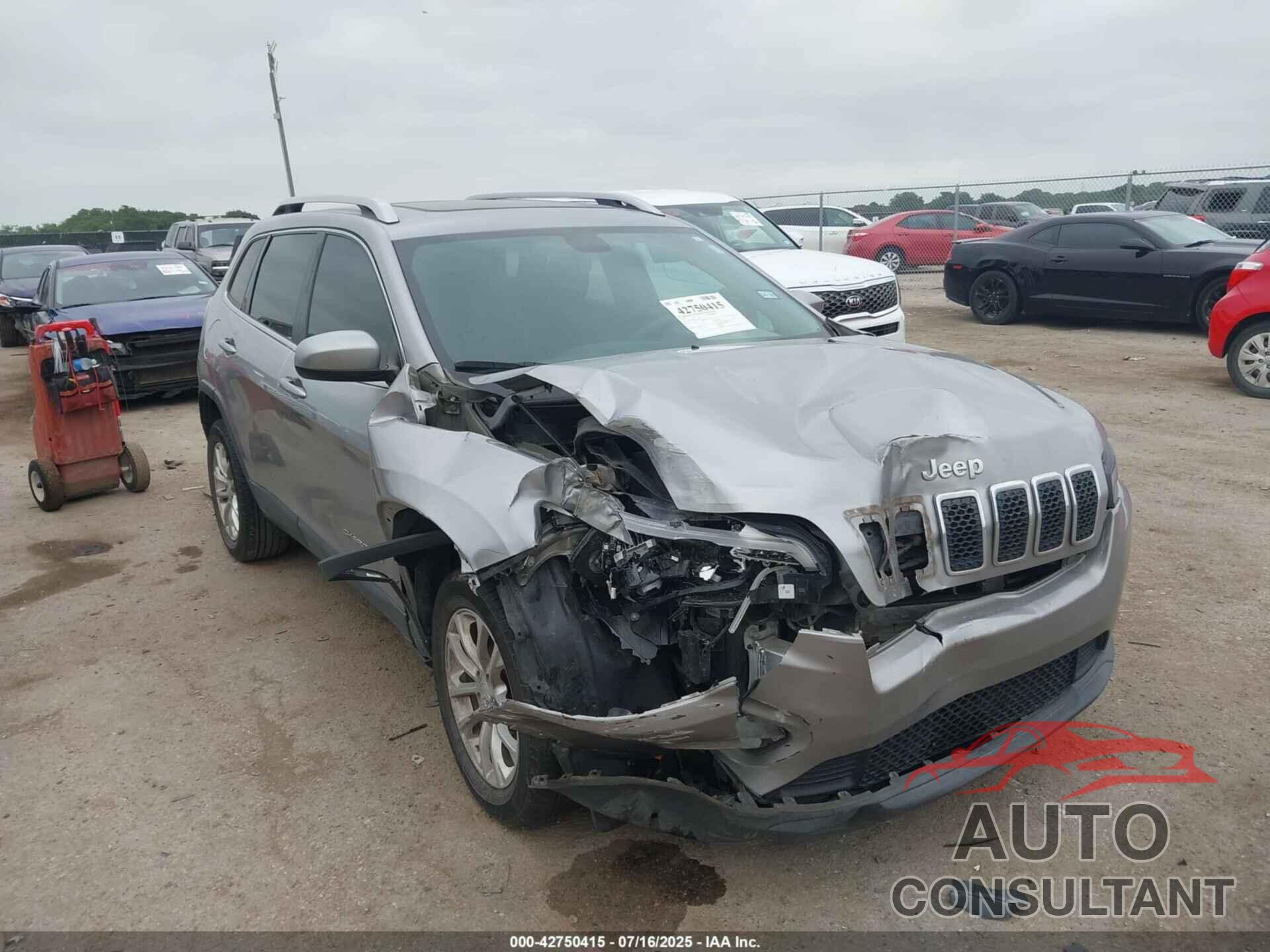 JEEP CHEROKEE 2019 - 1C4PJLCBXKD358504