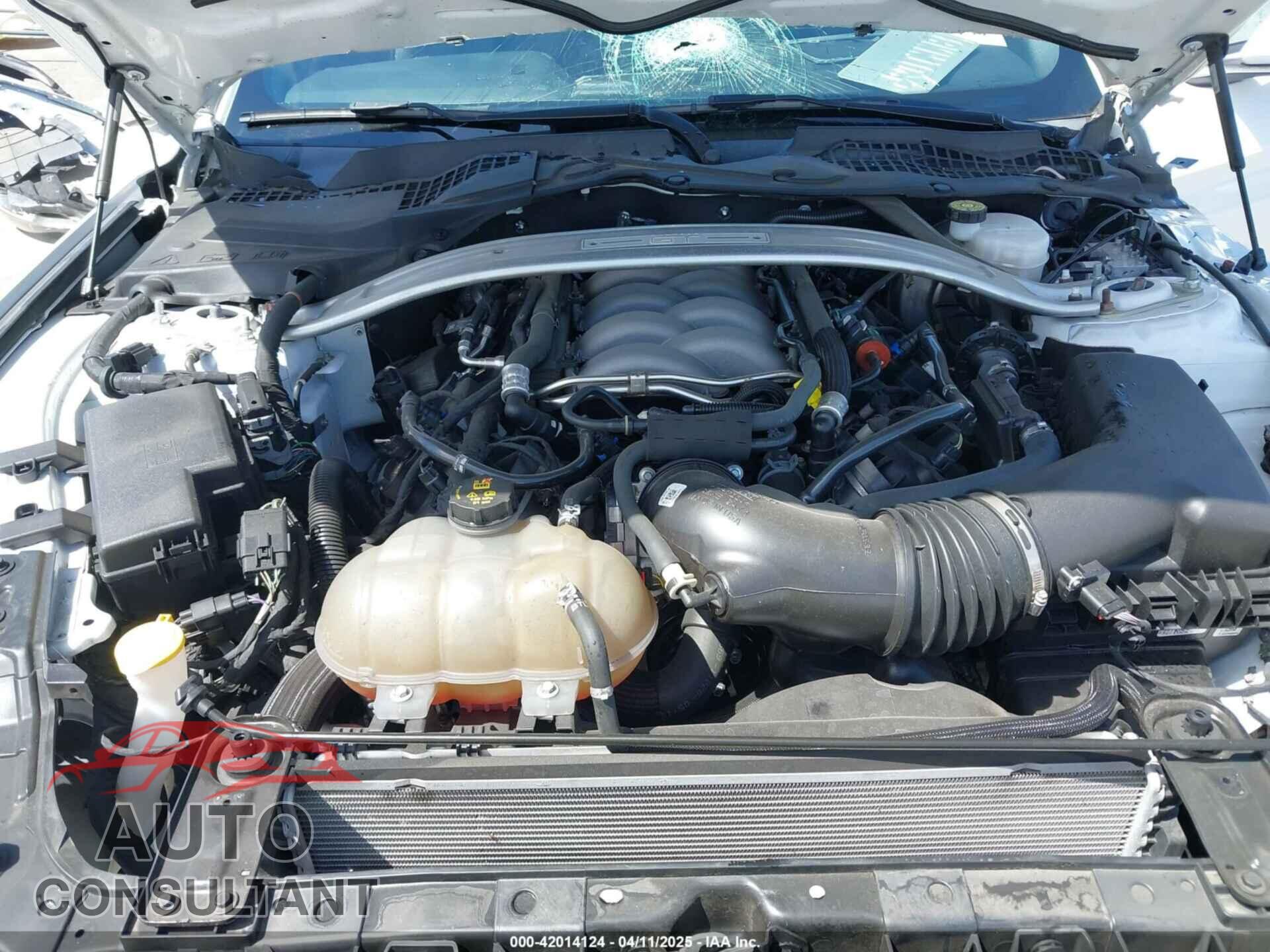 FORD MUSTANG 2019 - 1FA6P8CF2K5169663