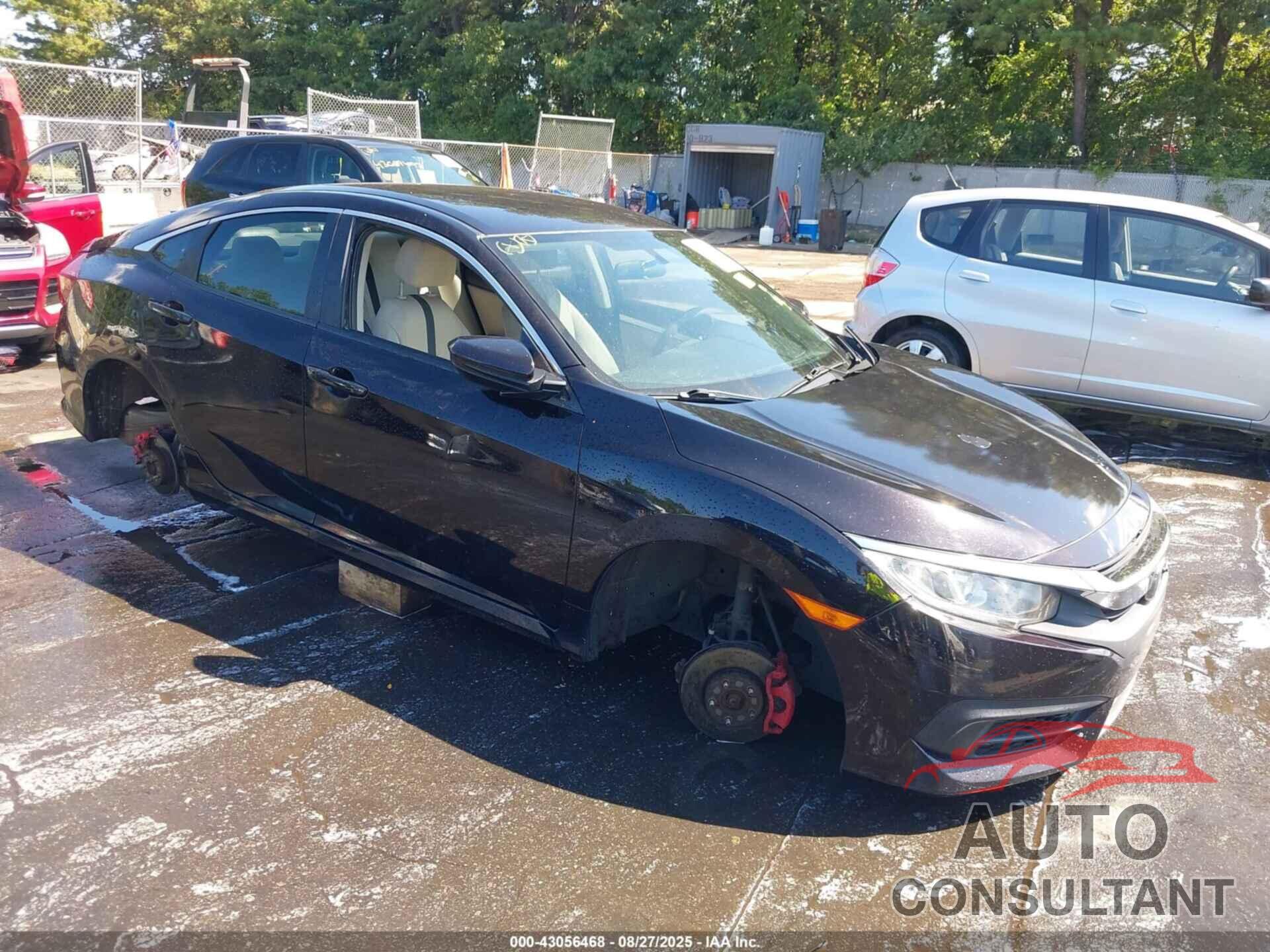 HONDA CIVIC 2016 - 2HGFC2F56GH510411