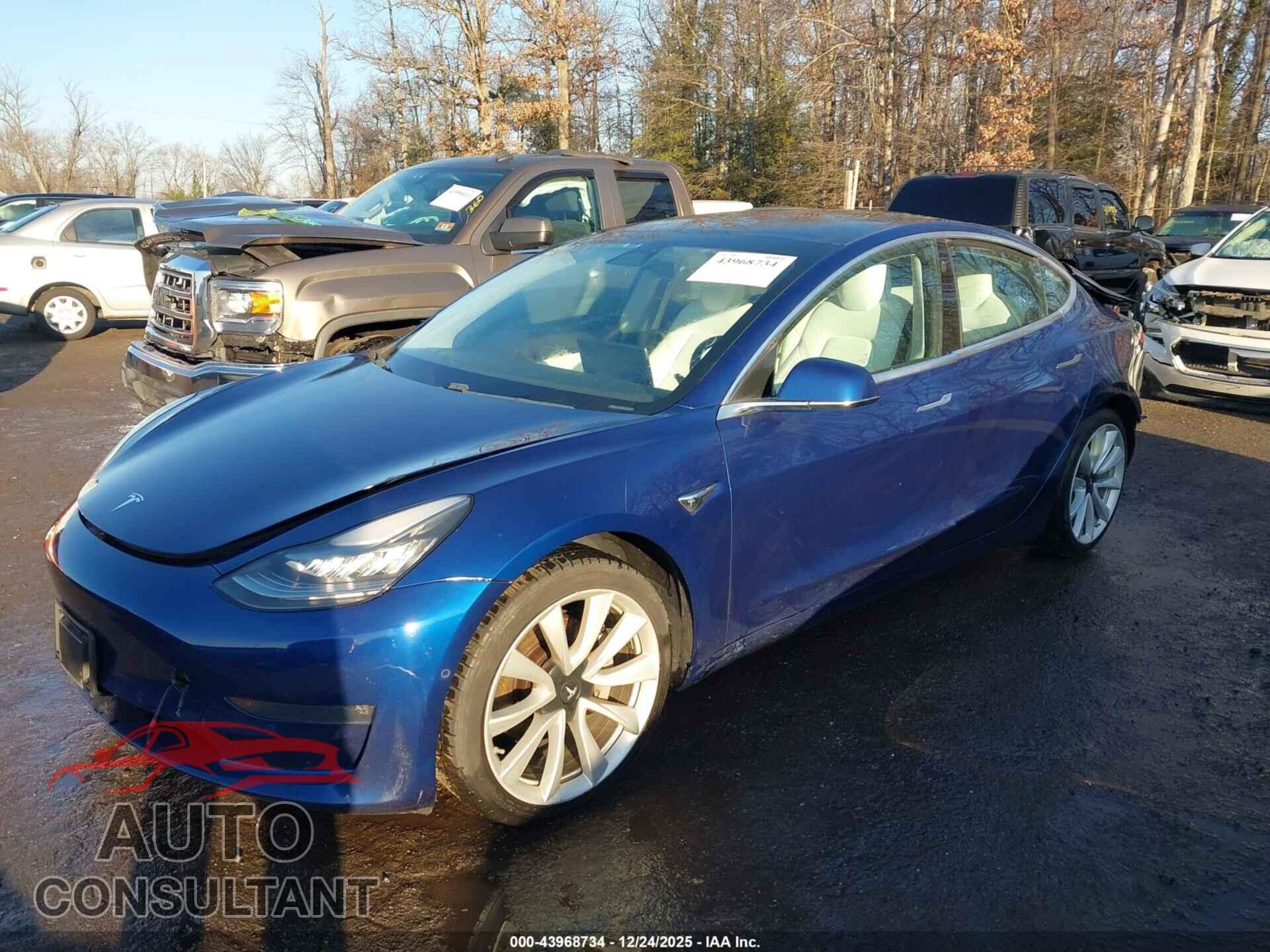 TESLA MODEL 3 2019 - 5YJ3E1EB9KF482275