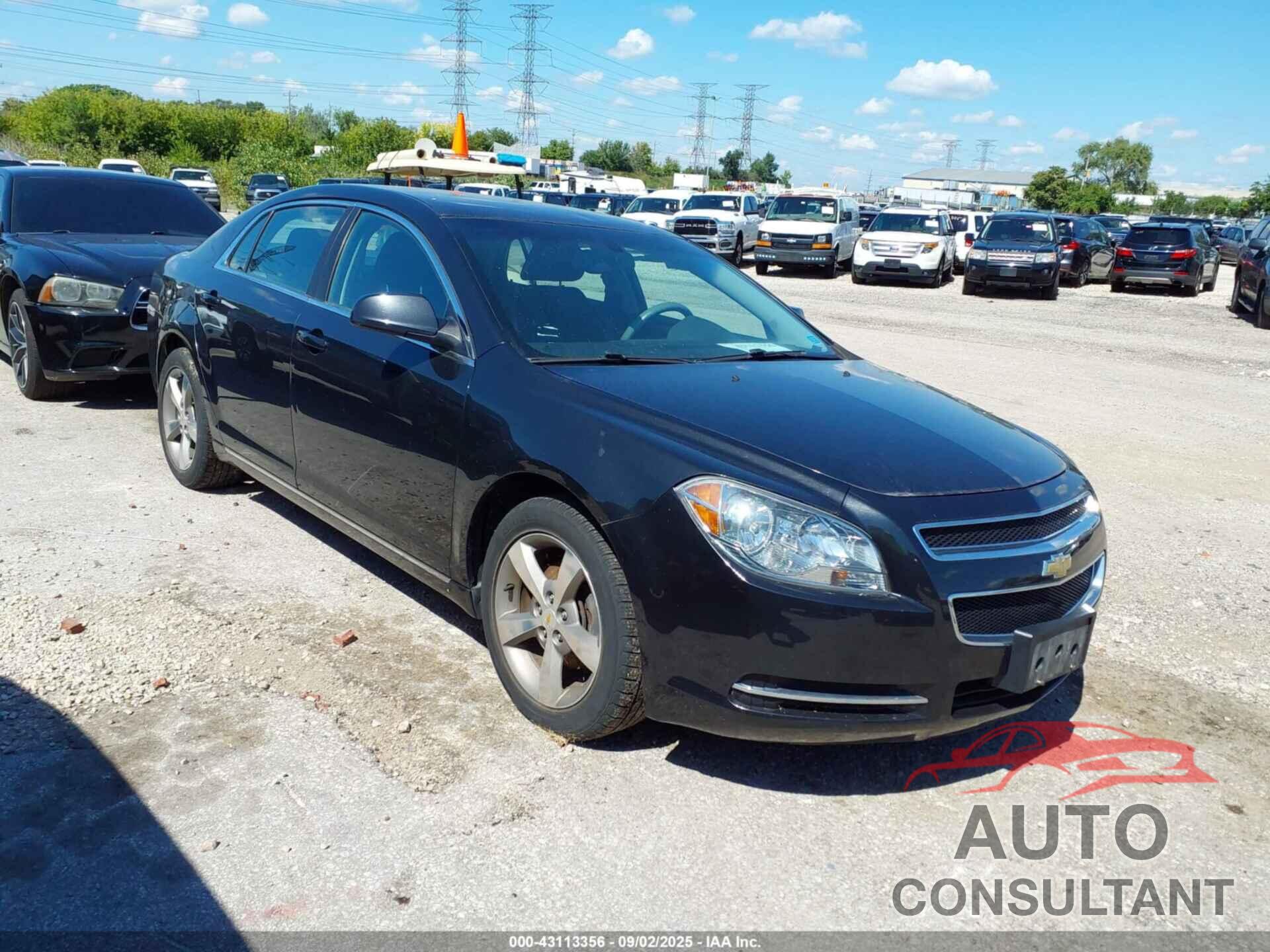 CHEVROLET MALIBU 2011 - 1G1ZC5E10BF197886