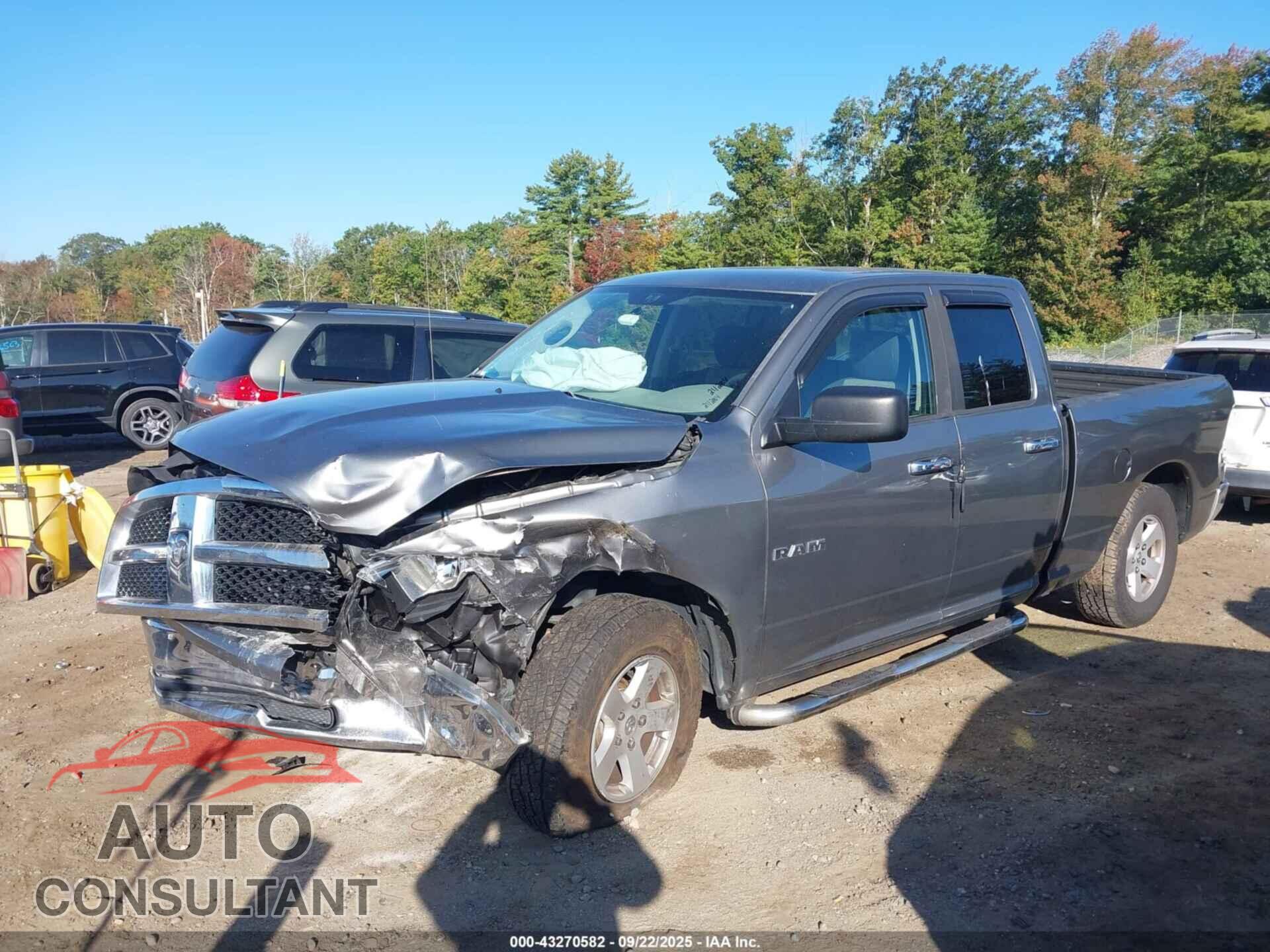 DODGE RAM 1500 2010 - 1D7RB1GP0AS119396