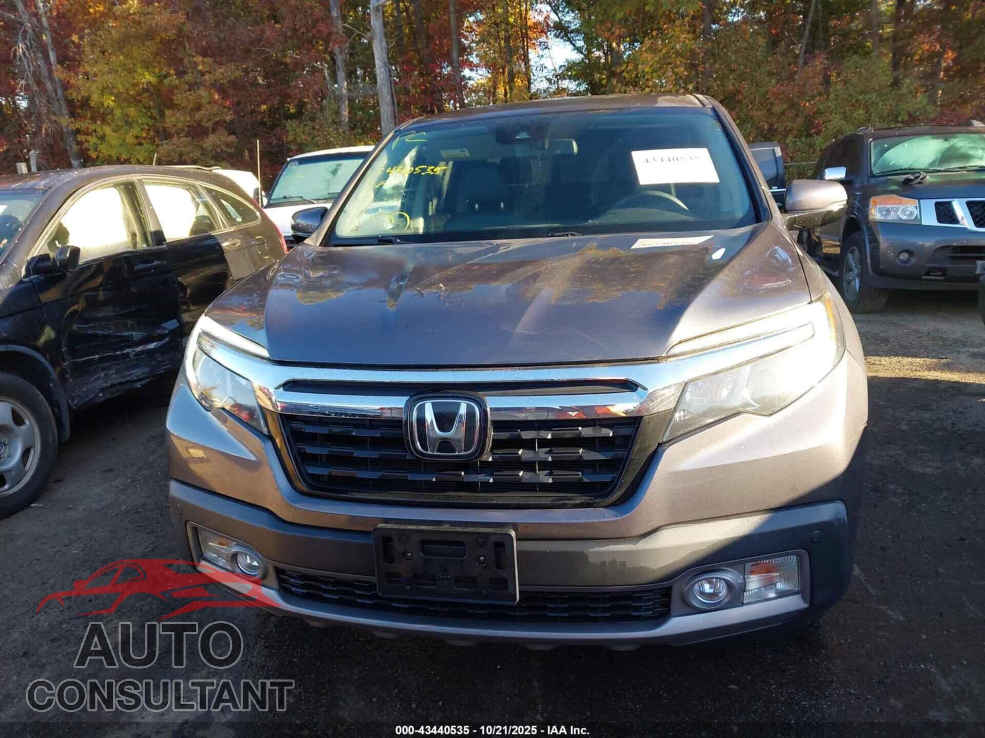HONDA RIDGELINE 2017 - 5FPYK3F77HB036307