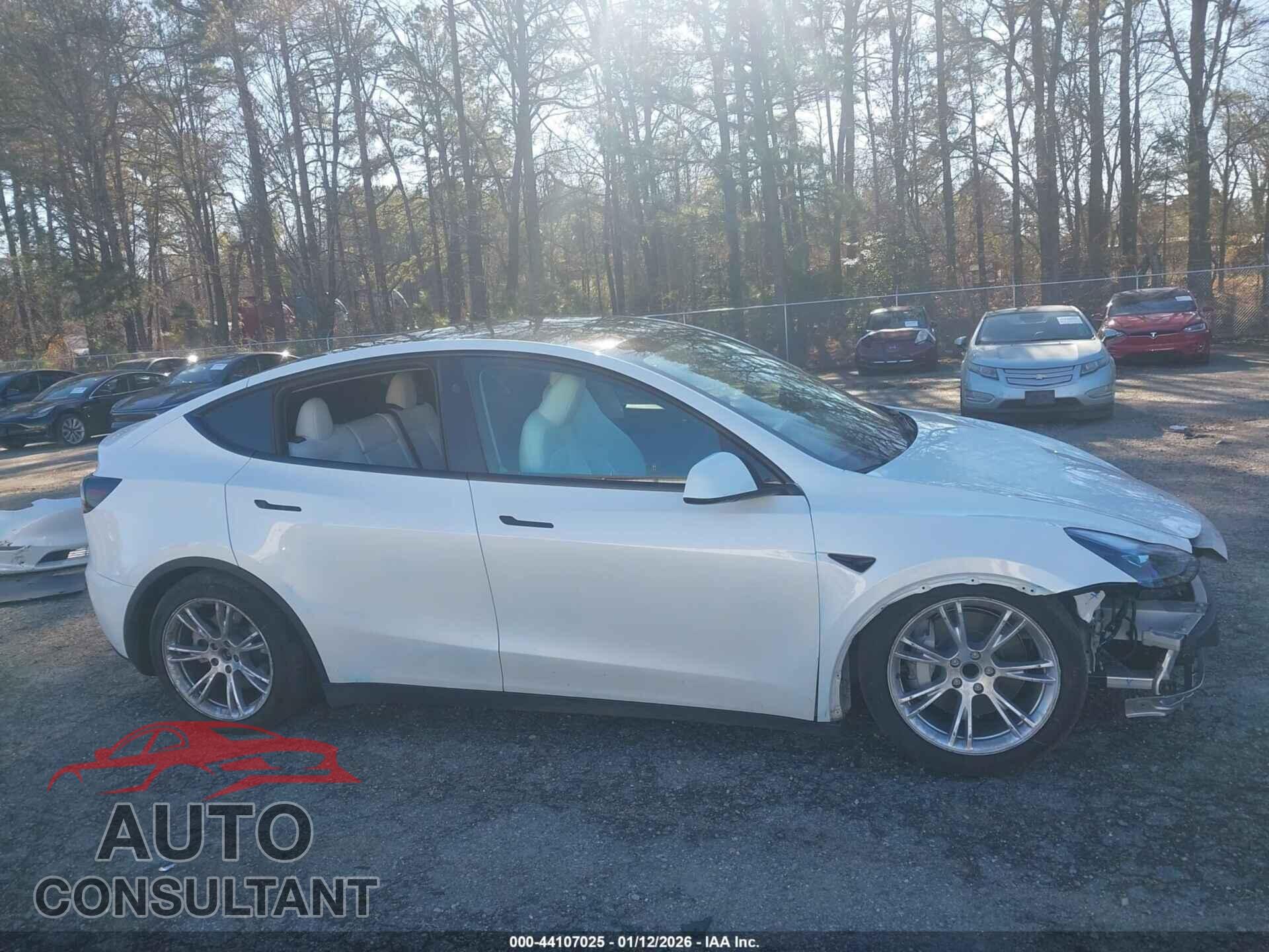 TESLA MODEL Y 2024 - 7SAYGDED2RF010631