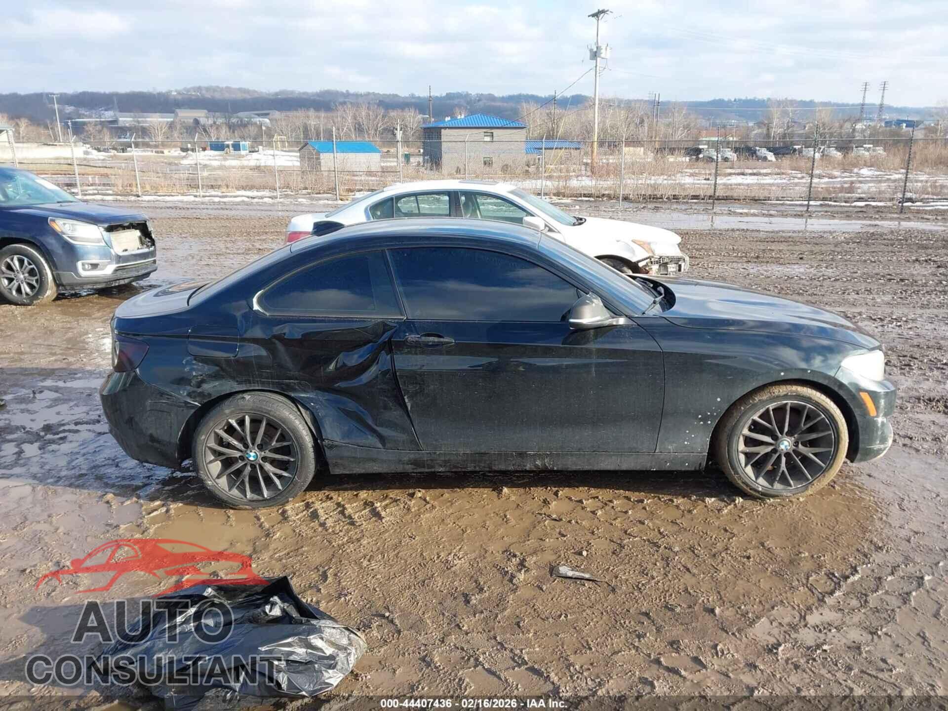 BMW 228I 2014 - WBA1F5C54EVV99550