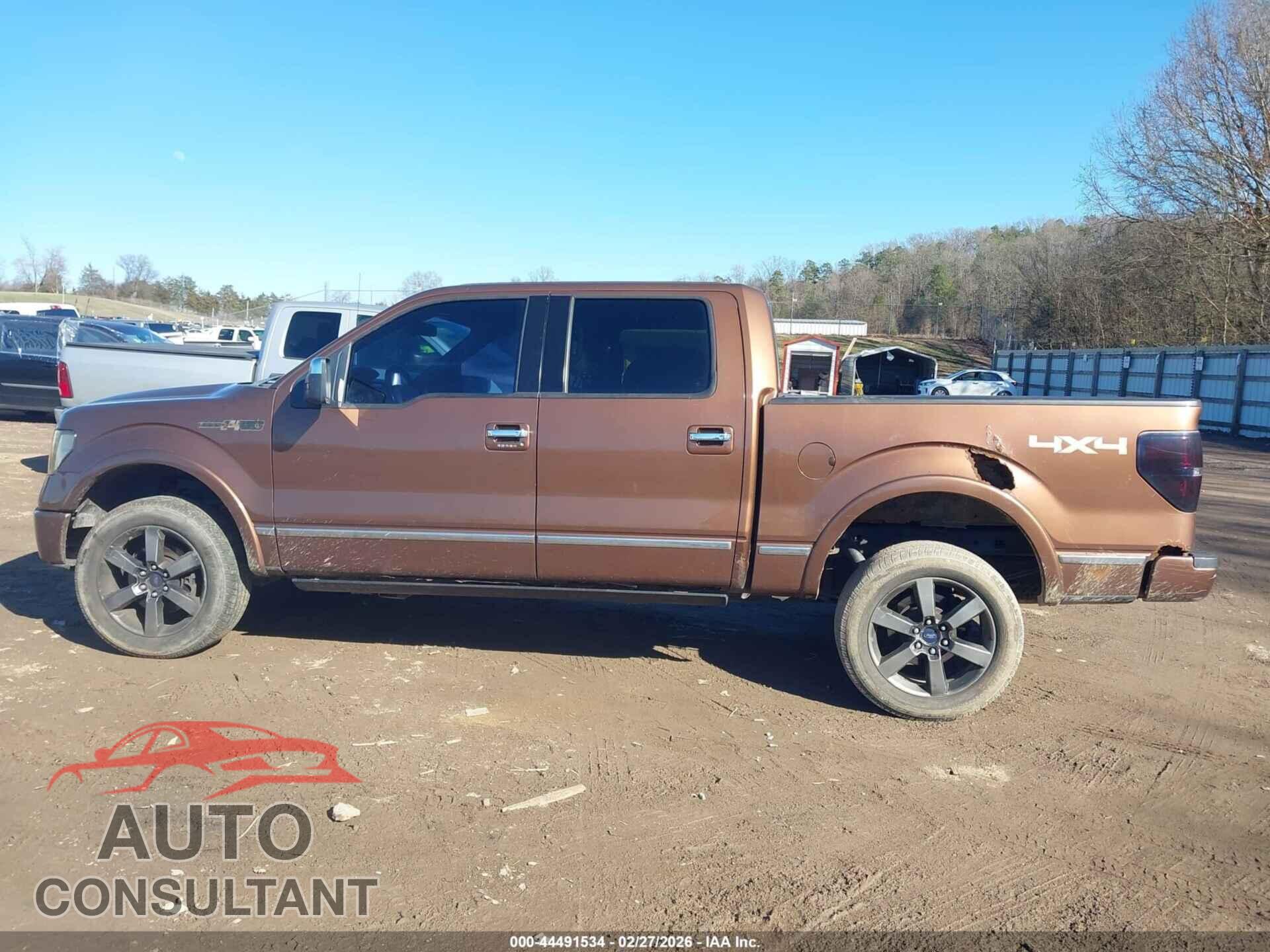 FORD F-150 2011 - 1FTFW1EF8BFA18743