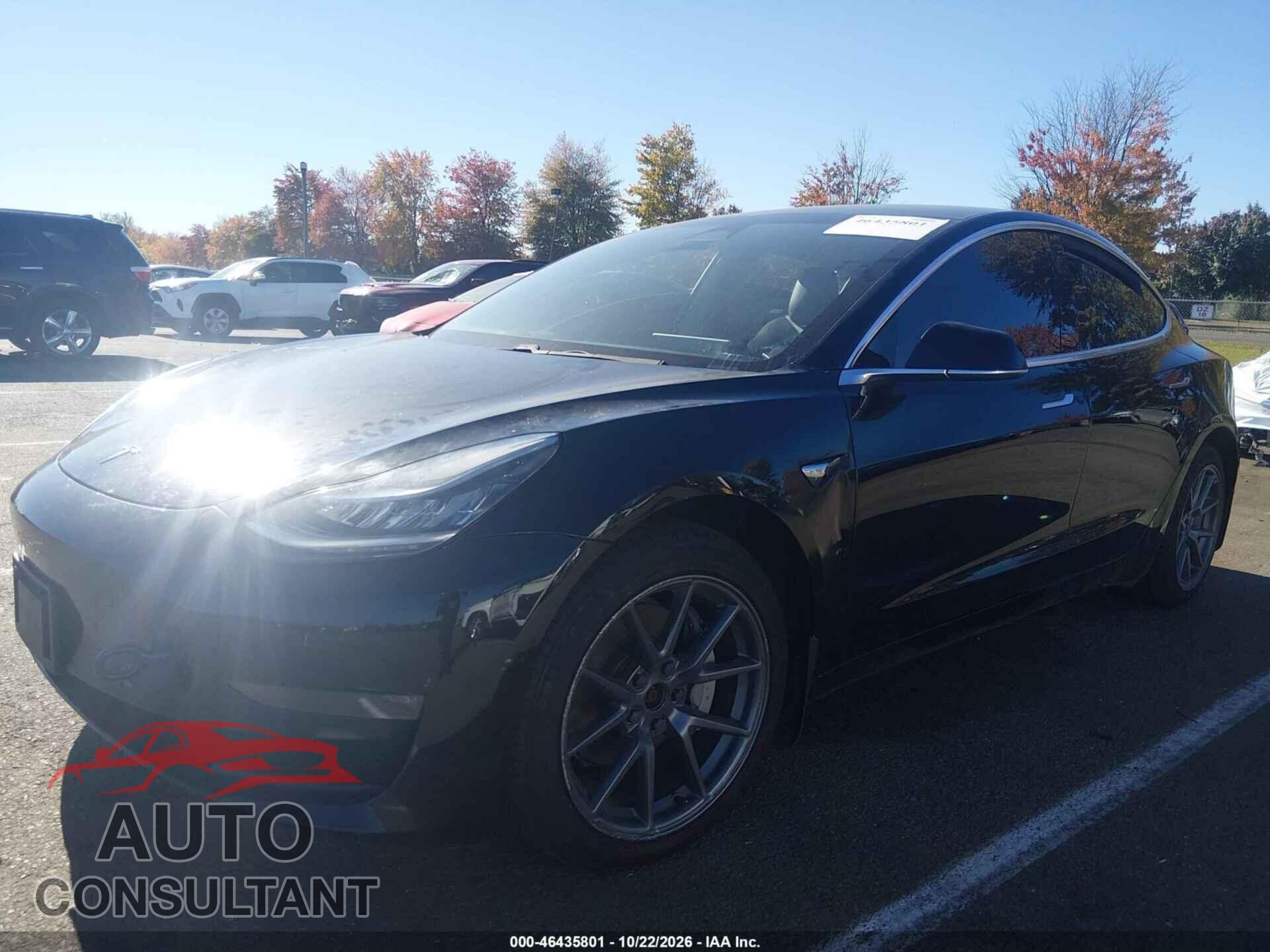TESLA MODEL 3 2019 - 5YJ3E1EB2KF384270