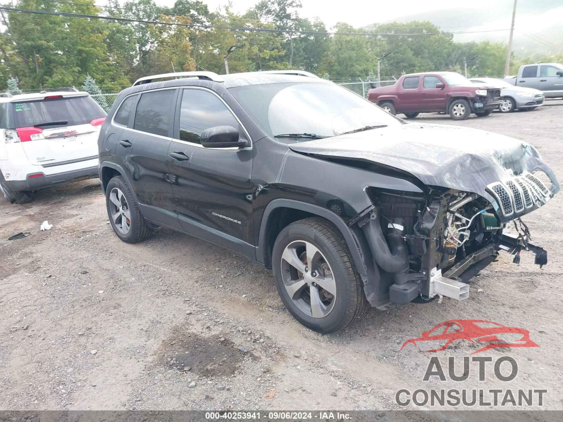 JEEP CHEROKEE 2019 - 1C4PJMDX4KD158198