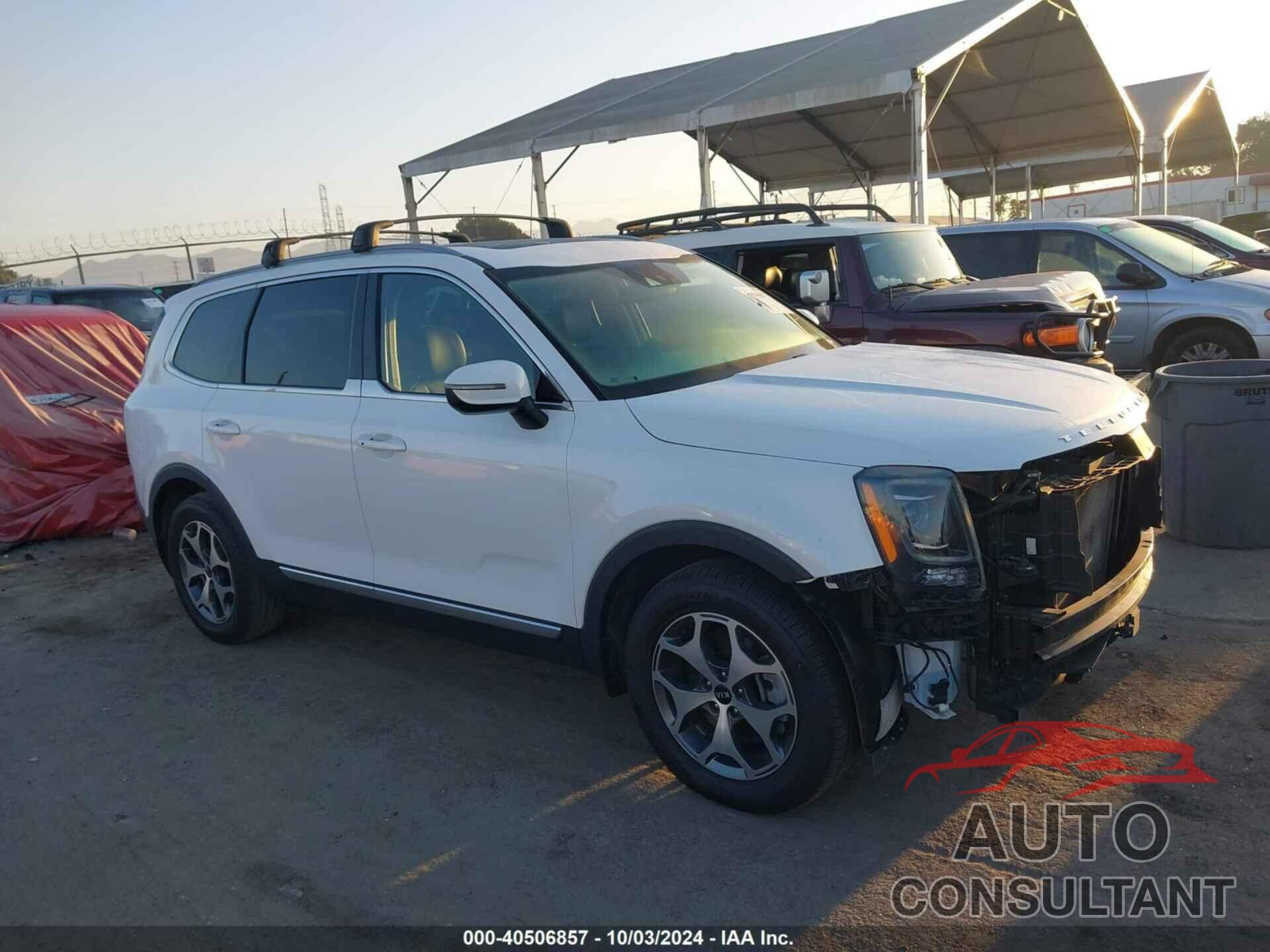 KIA TELLURIDE 2020 - 5XYP34HC0LG010392