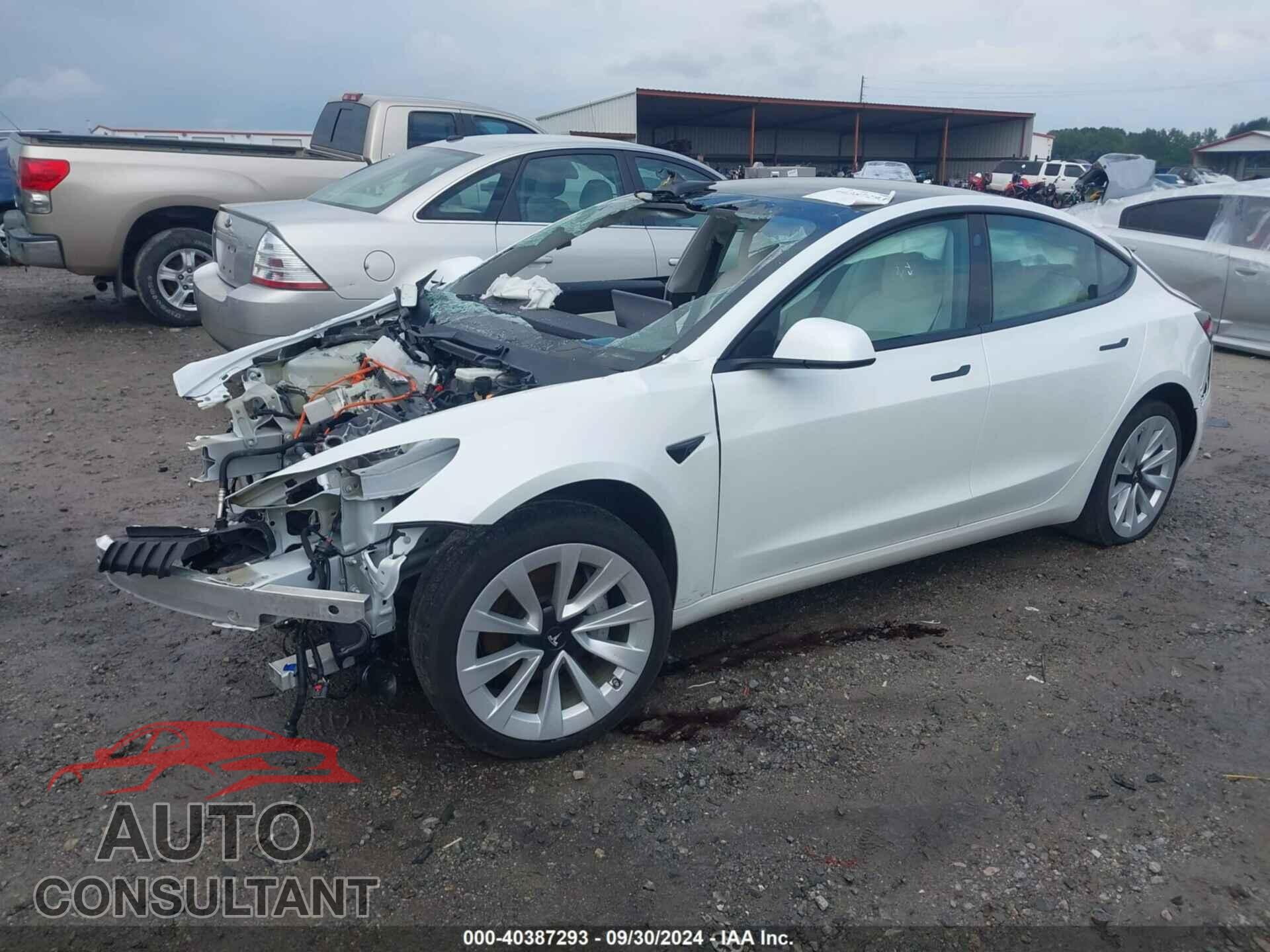 TESLA MODEL 3 2021 - 5YJ3E1EB7MF868891