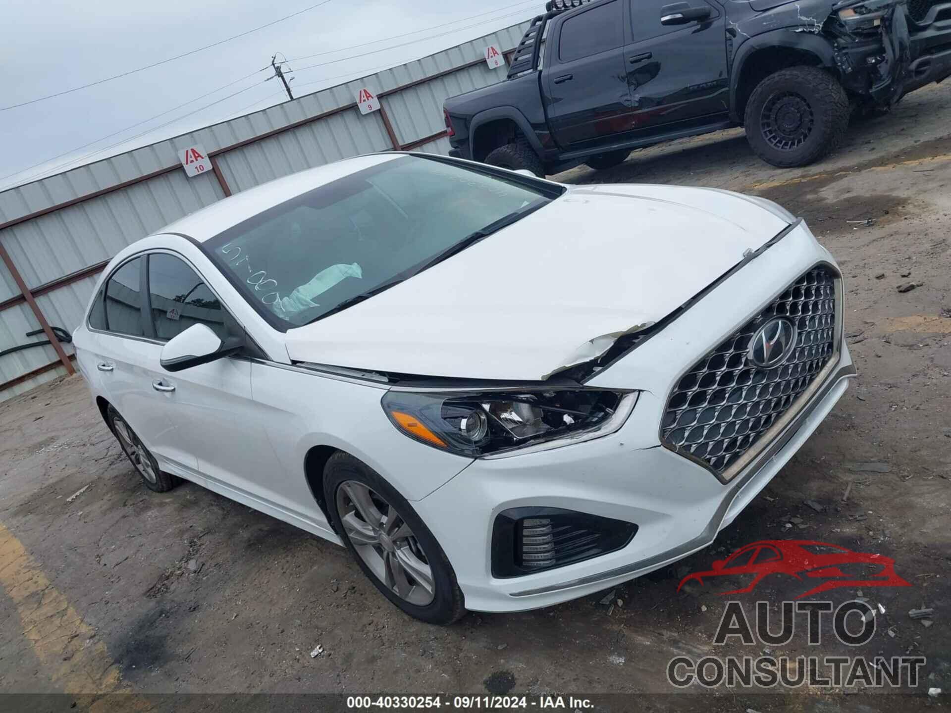 HYUNDAI SONATA 2019 - 5NPE34AF1KH775789