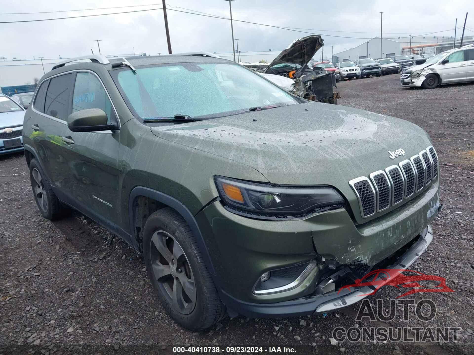 JEEP CHEROKEE 2019 - 1C4PJMDX2KD251690