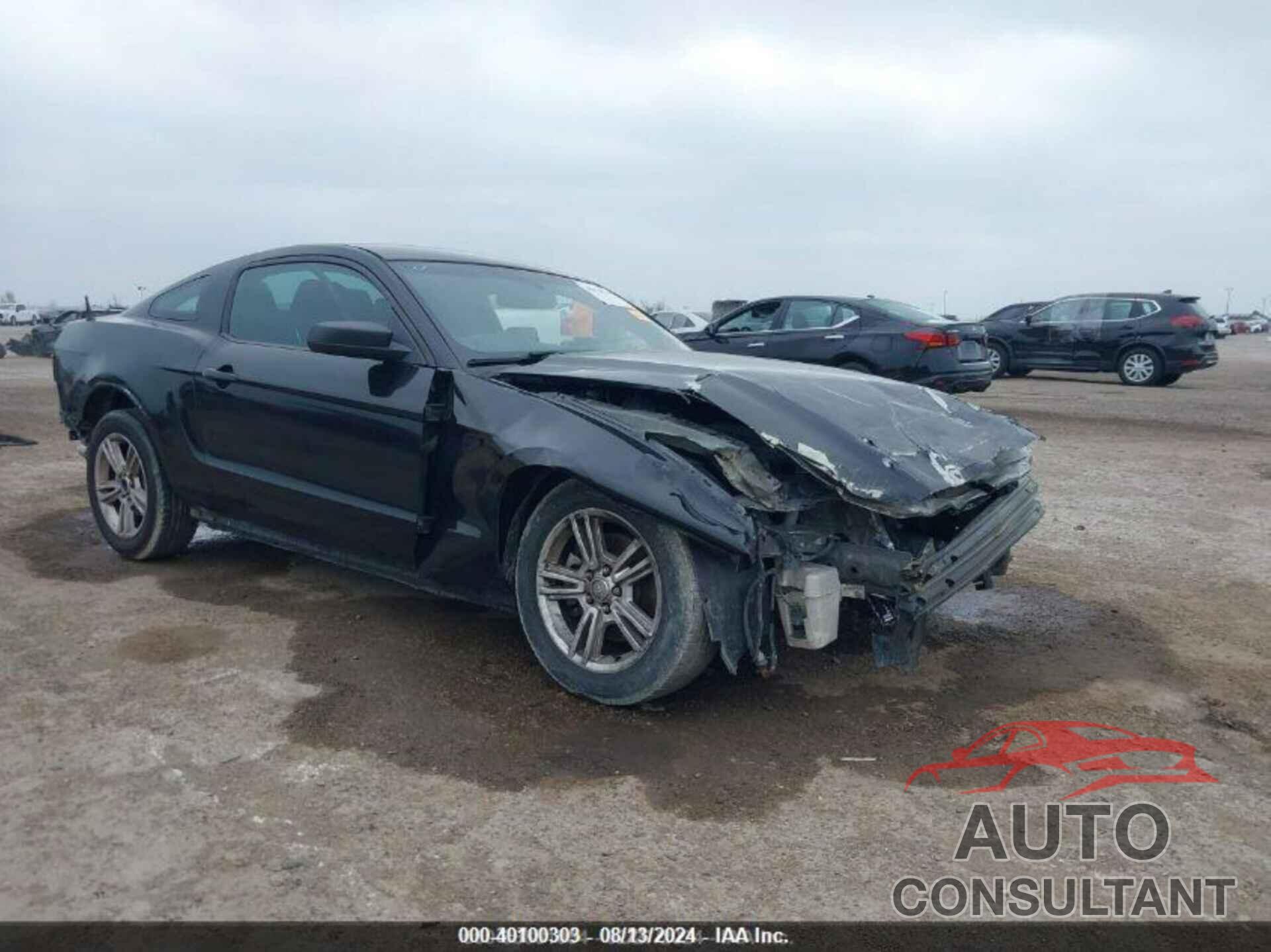FORD MUSTANG 2014 - 1ZVBP8AM8E5311624