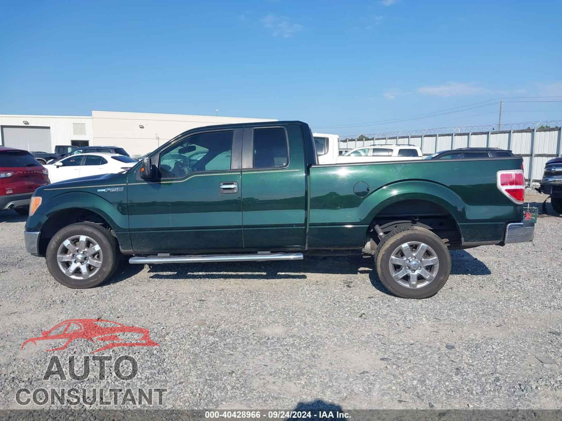 FORD F-150 2013 - 1FTFX1CF3DFA87066
