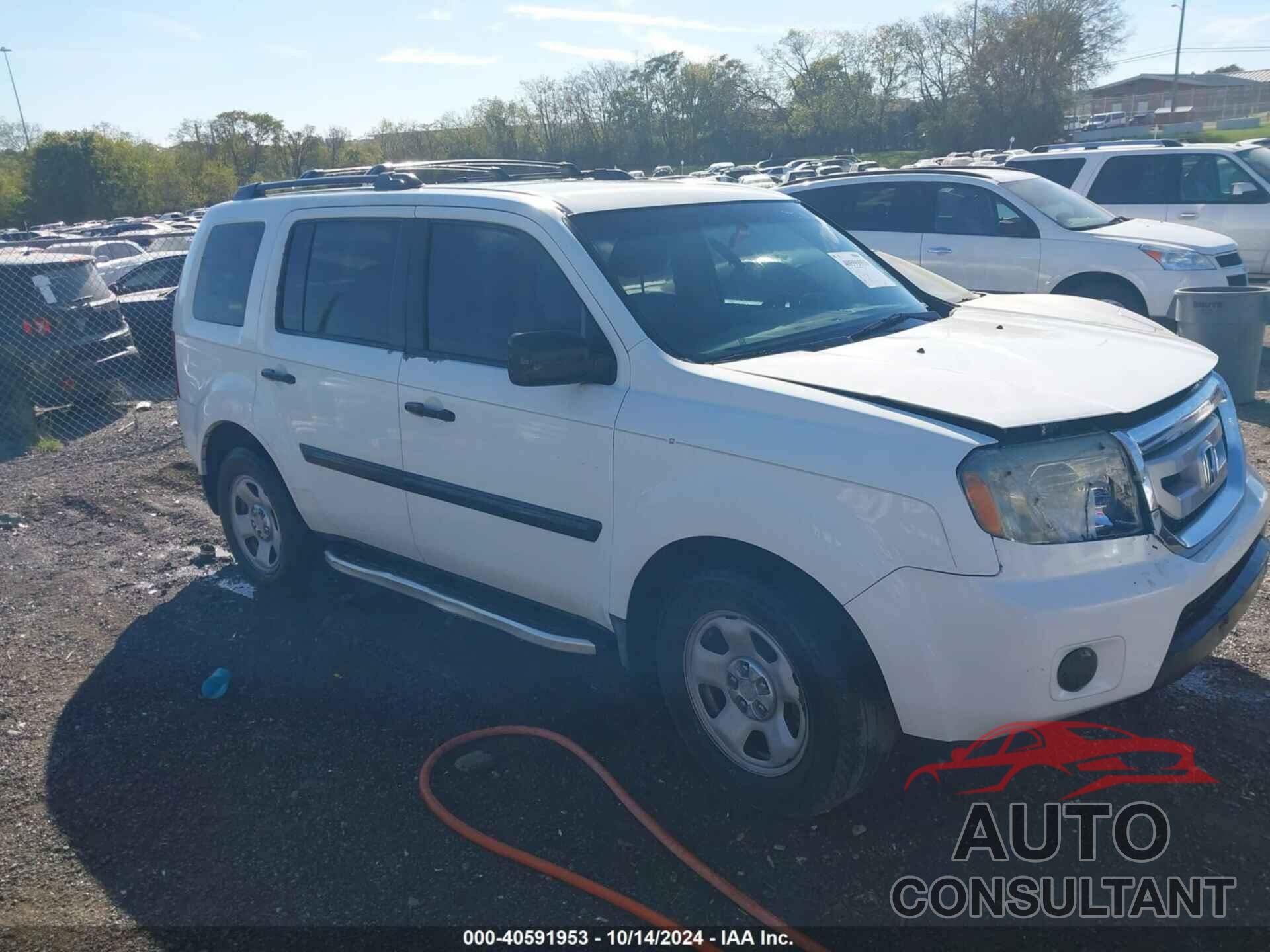 HONDA PILOT 2010 - 5FNYF4H2XAB032021