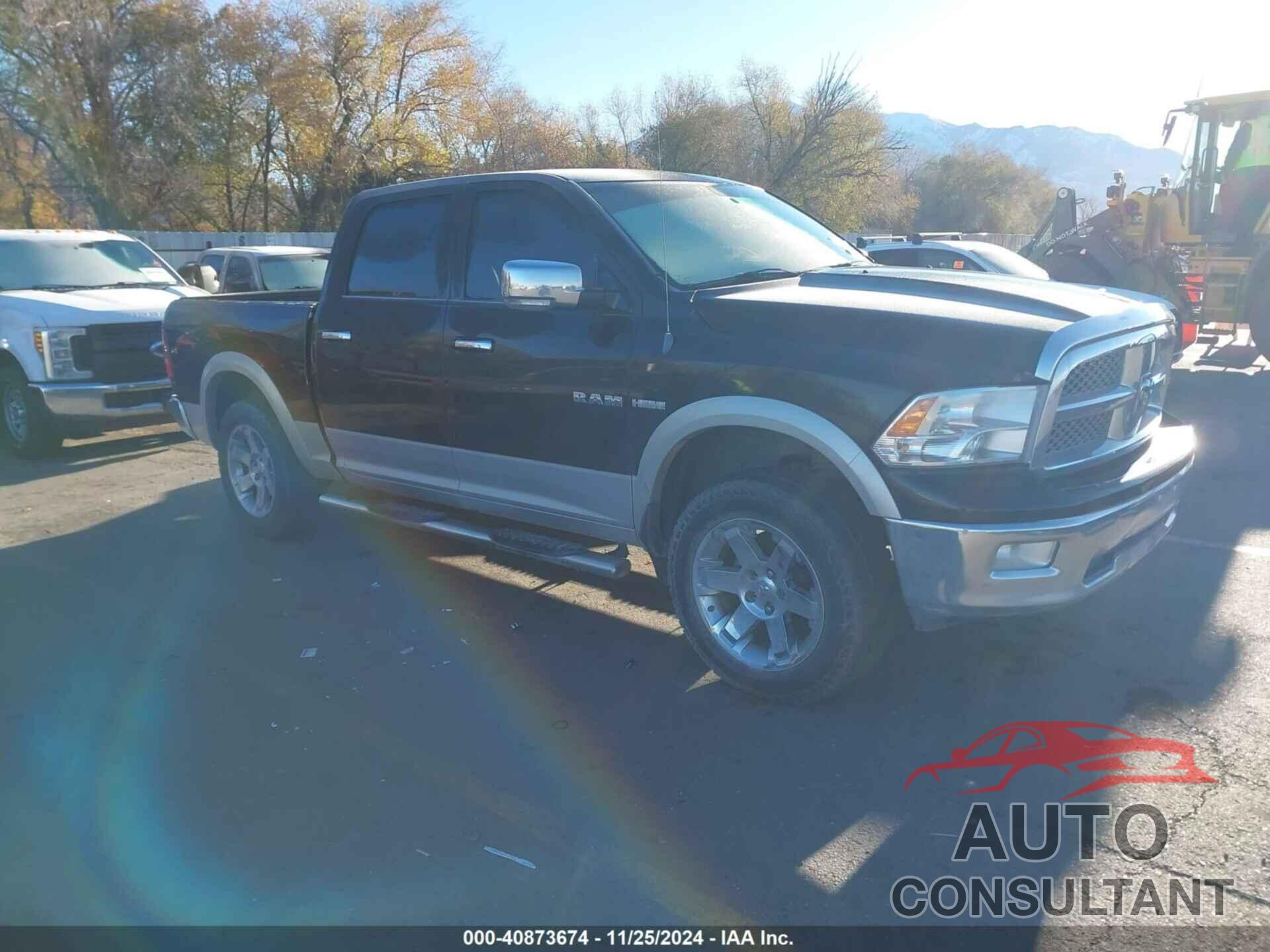 DODGE RAM 1500 2009 - 1D3HV13T79J528679