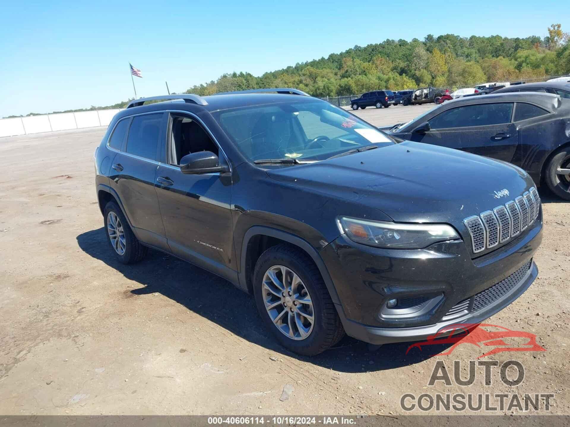 JEEP CHEROKEE 2019 - 1C4PJLLB1KD479163