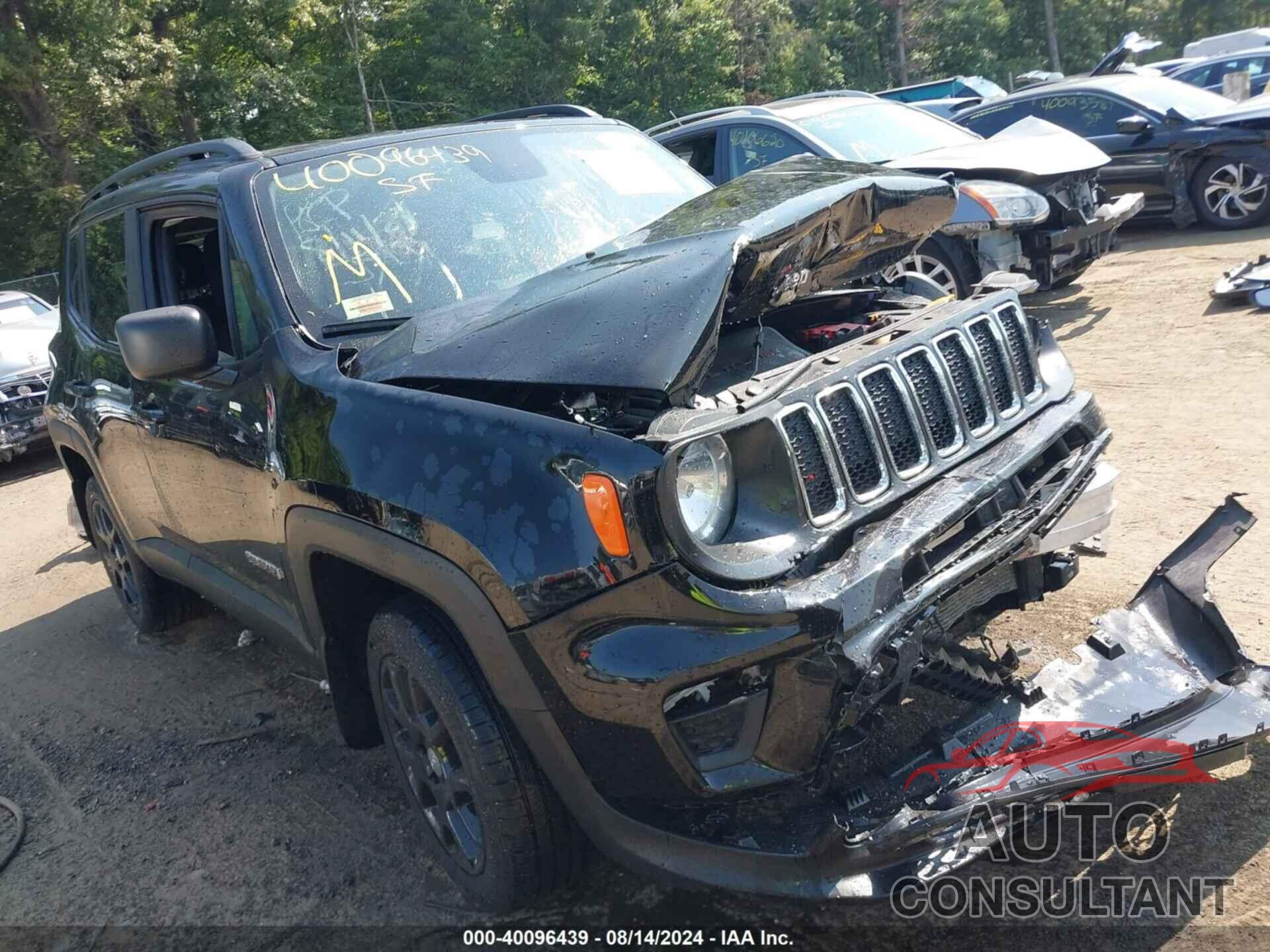 JEEP RENEGADE 2019 - ZACNJBAB7KPJ83132