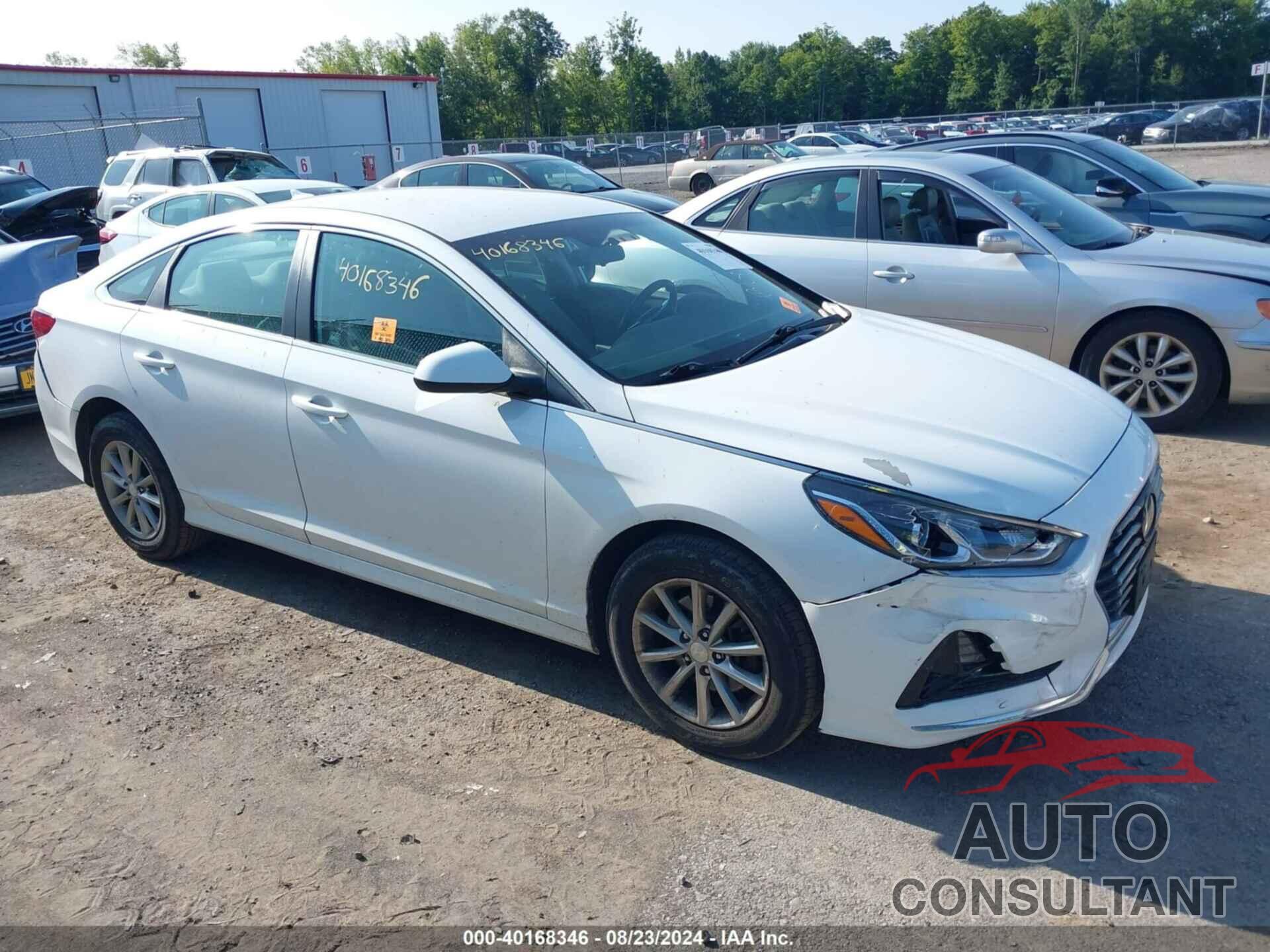 HYUNDAI SONATA 2019 - 5NPE24AF9KH780760