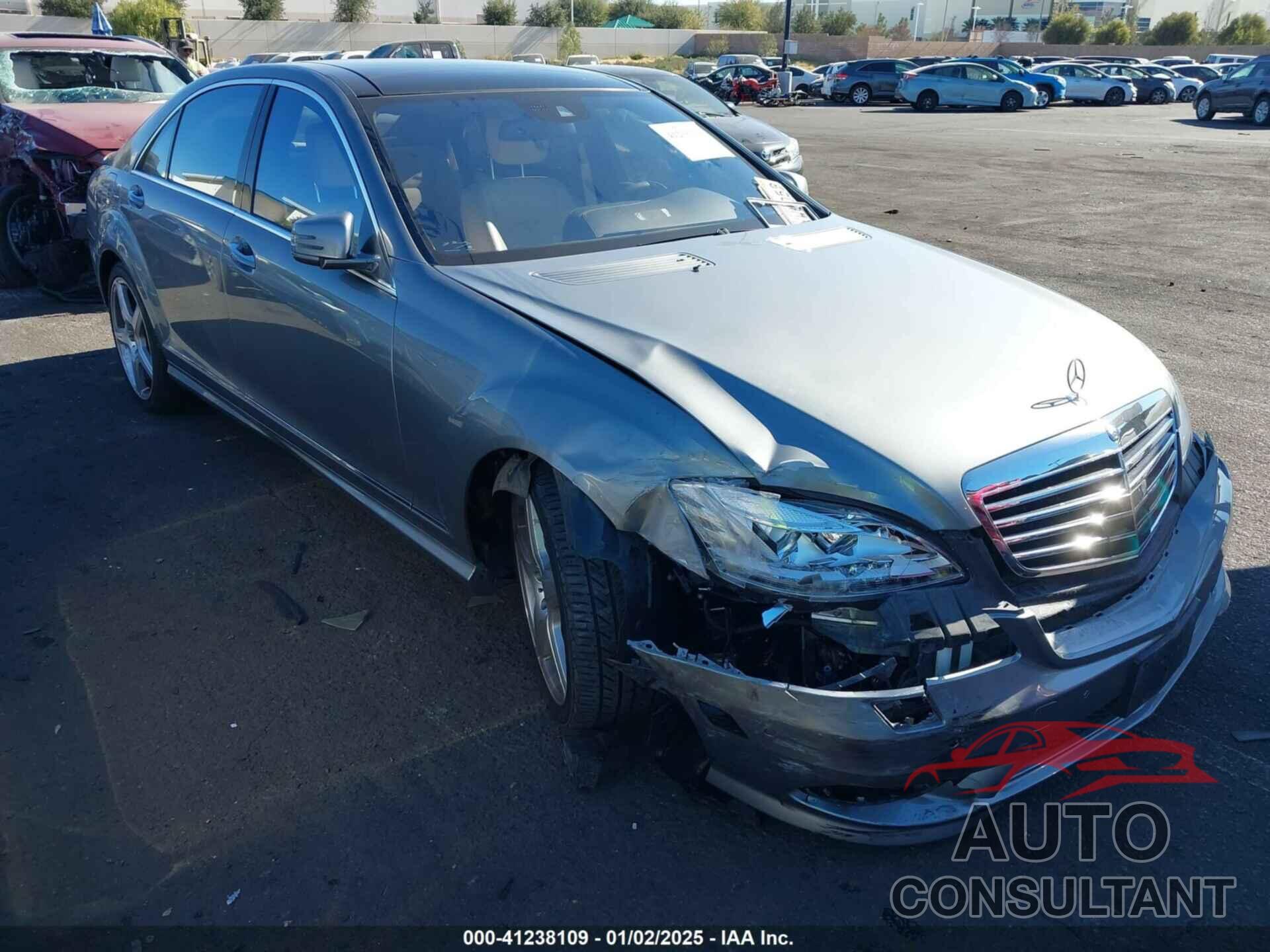 MERCEDES-BENZ S 550 2013 - WDDNG7DB7DA529473