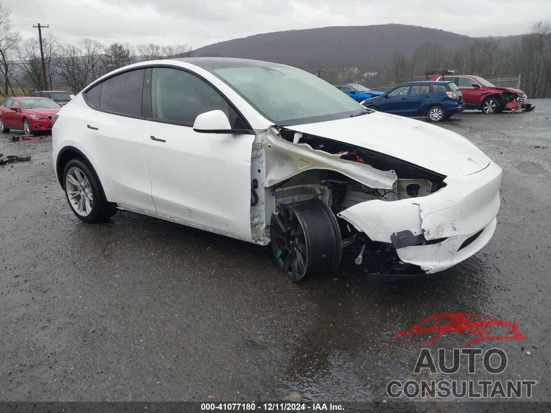 TESLA MODEL Y 2023 - 7SAYGDEE0PA144654