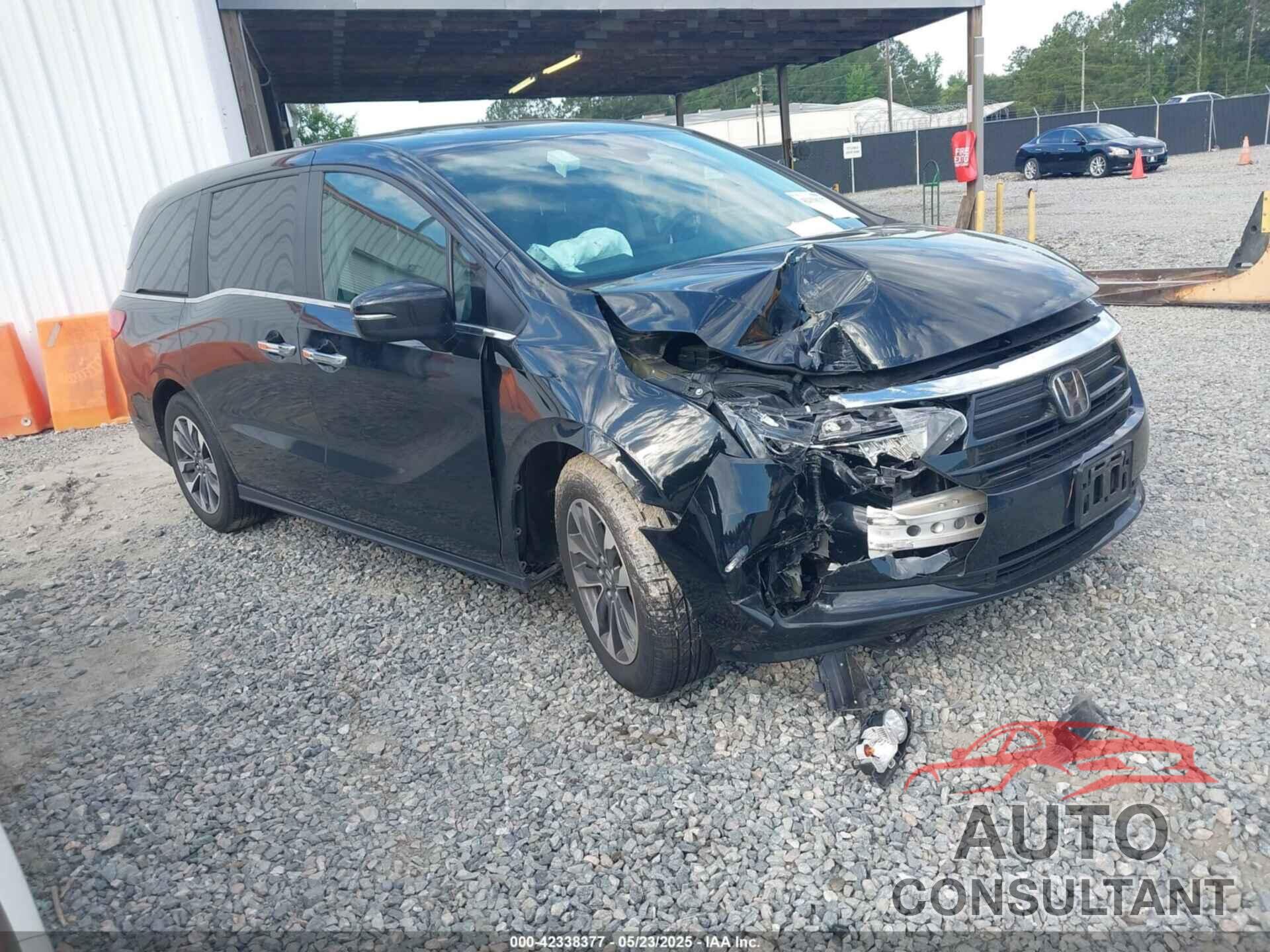 HONDA ODYSSEY 2024 - 5FNRL6H66RB052127