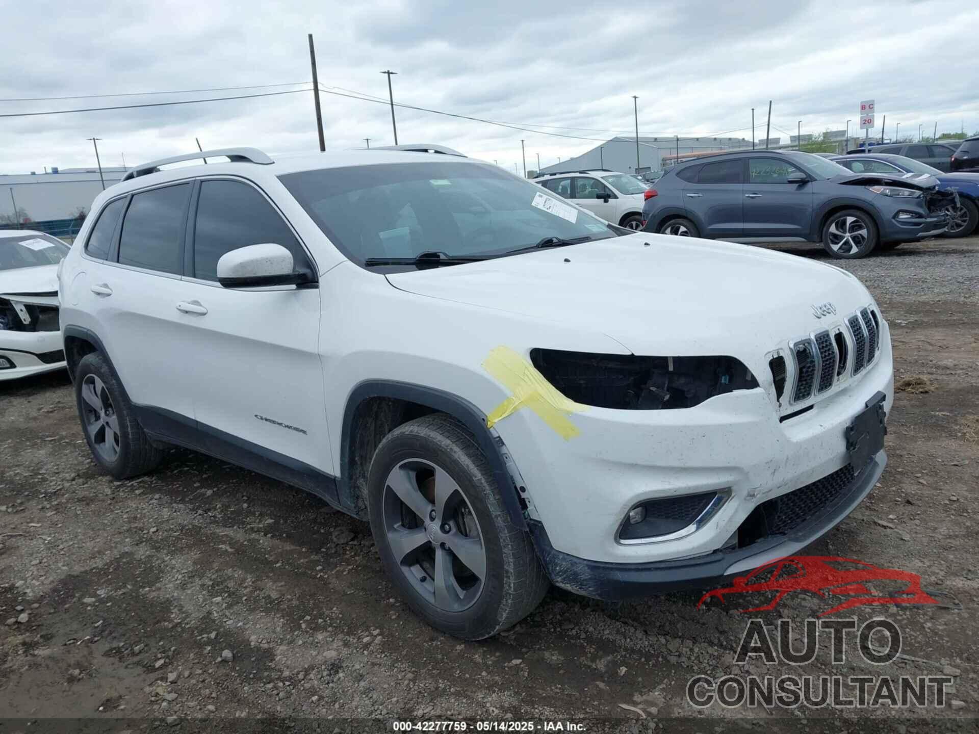 JEEP CHEROKEE 2019 - 1C4PJMDX4KD198152