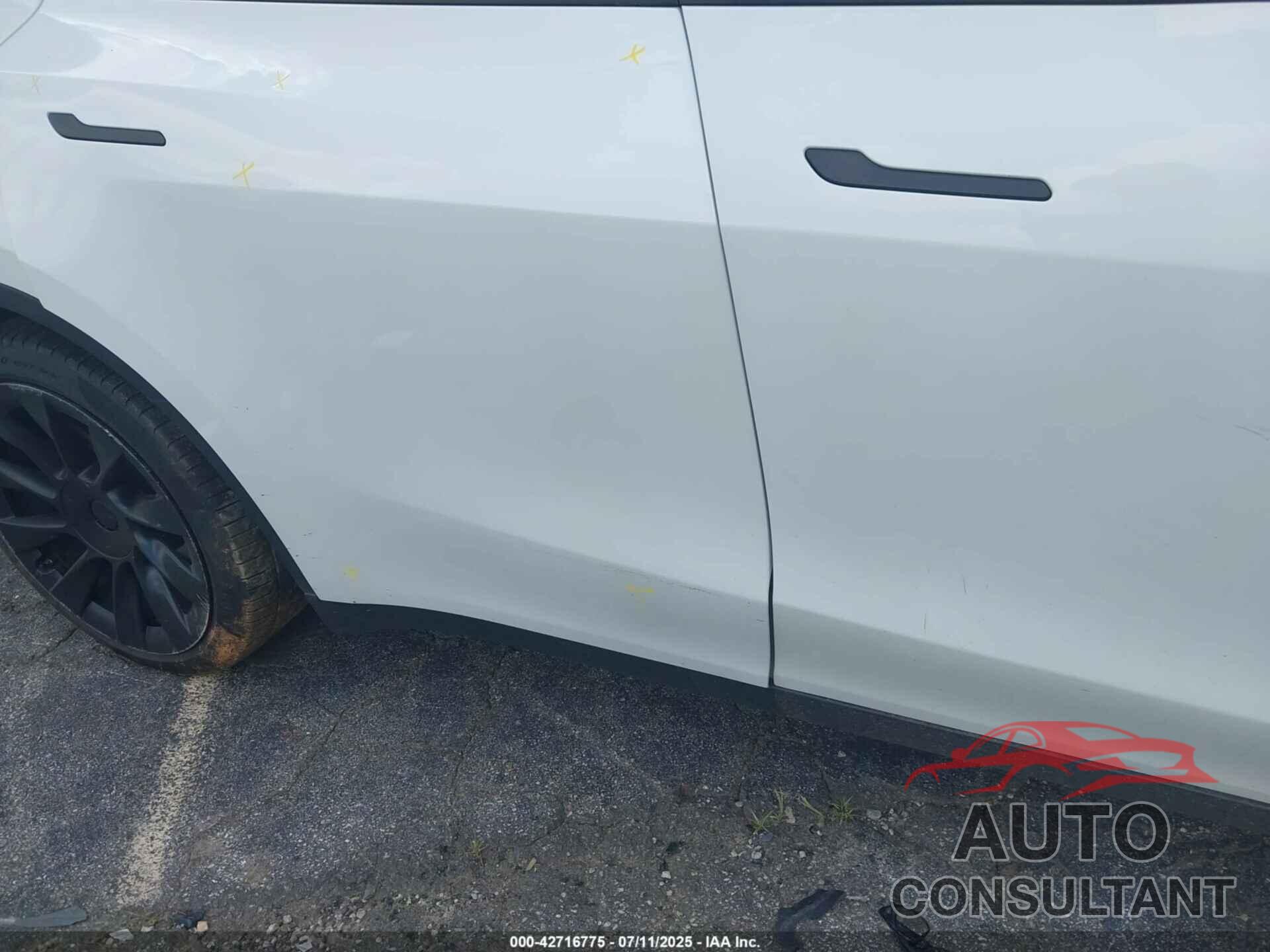 TESLA MODEL Y 2022 - 7SAYGDEE6NF364669